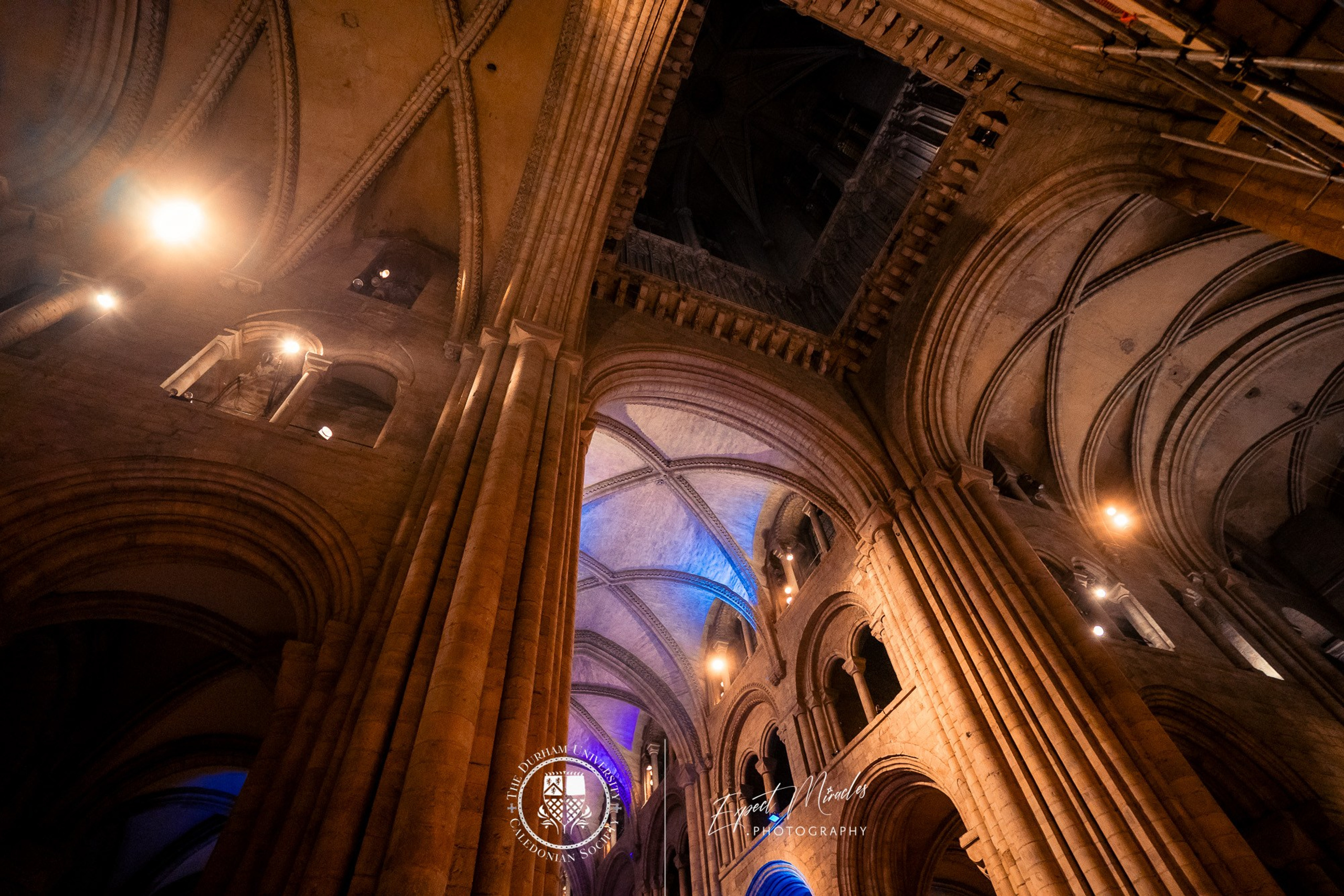 The Owl Society. Expect Miracles Photography by Kate & Andrew