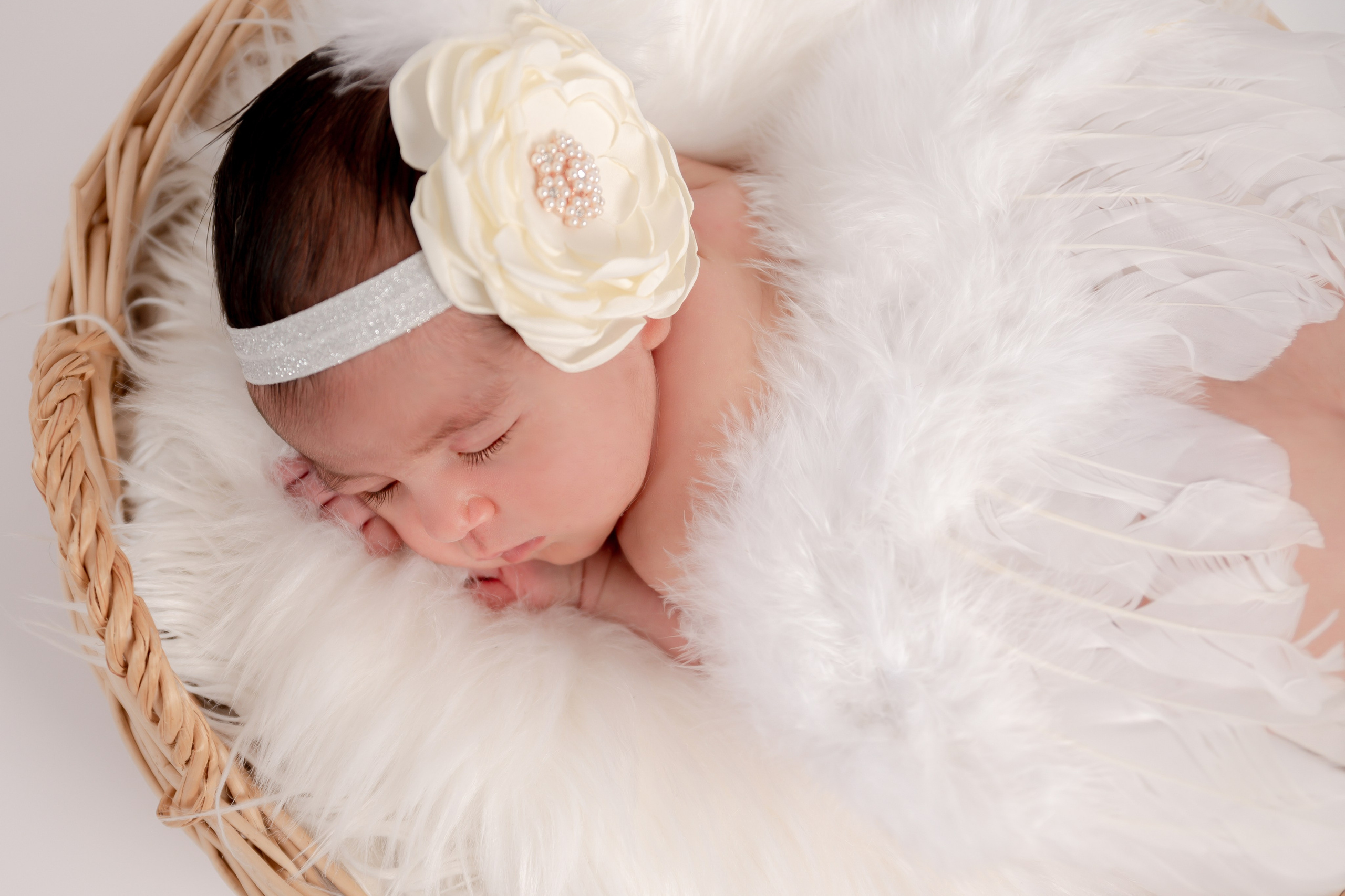 Newborn Photoshoot