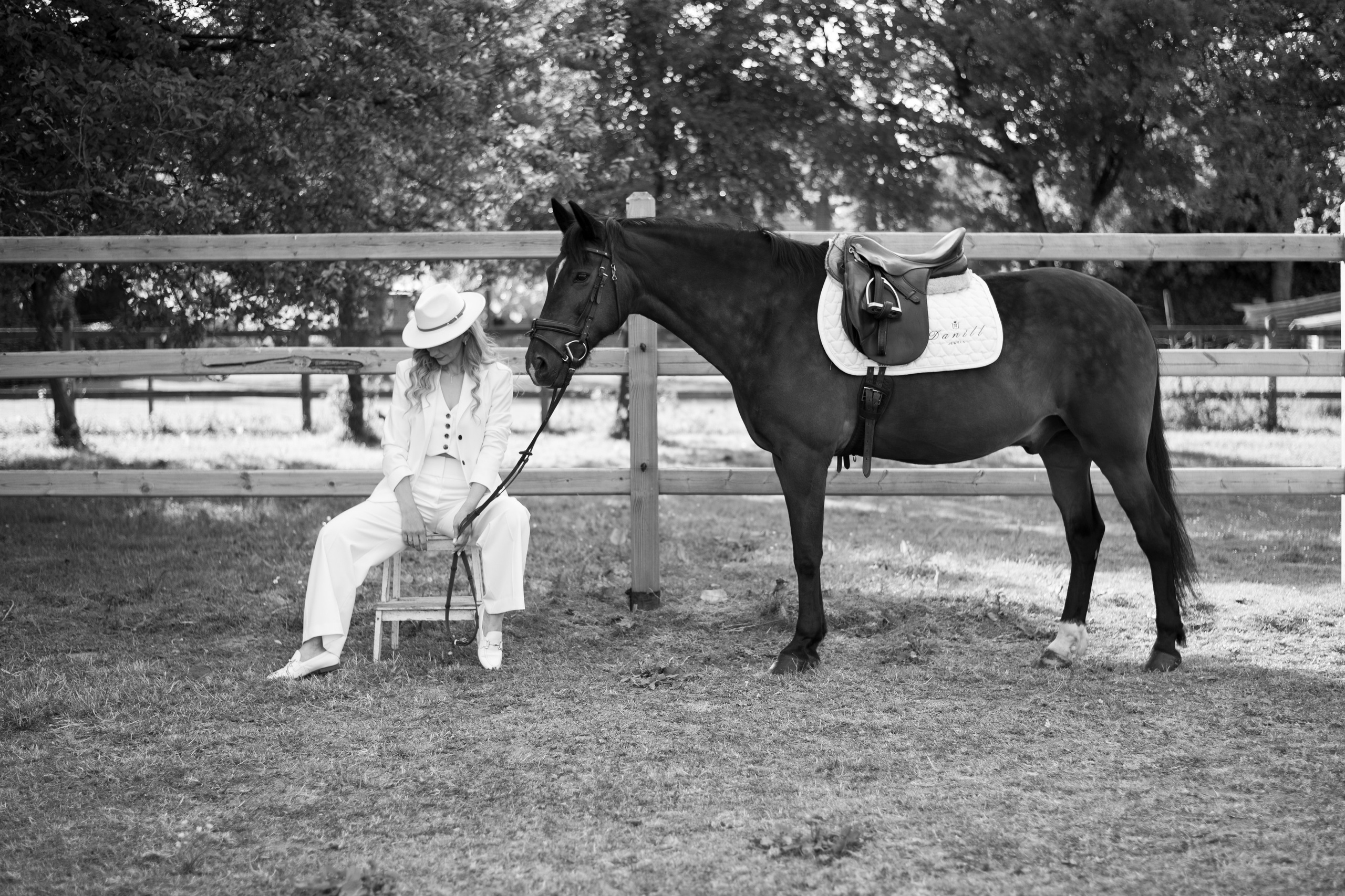 Photoshoot with Horses