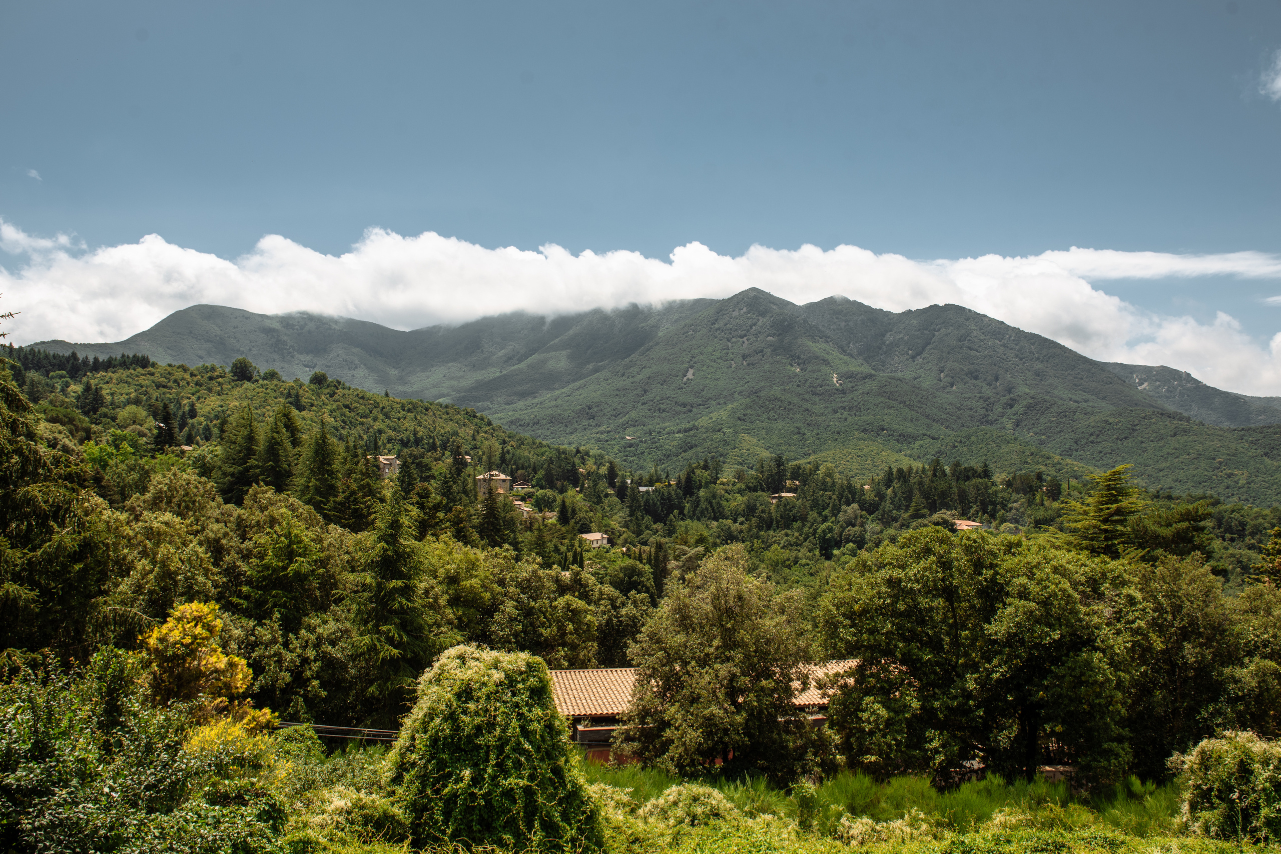 Happy Birthday Ksenia Chalaya. Fotógrafa Ekaterina Gasanova - sesiones de fotos en Barcelona
