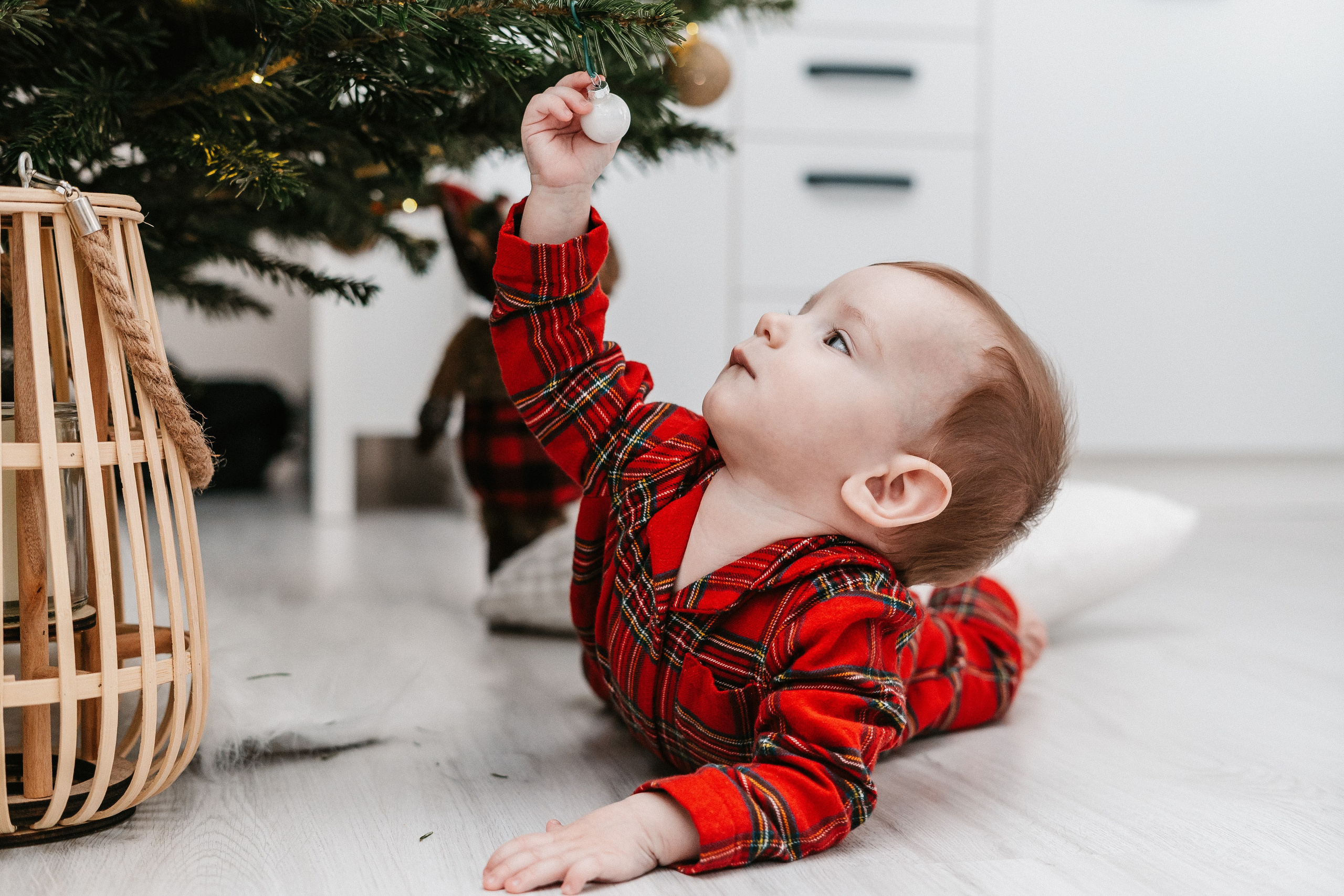 Ducuții — Crăciun