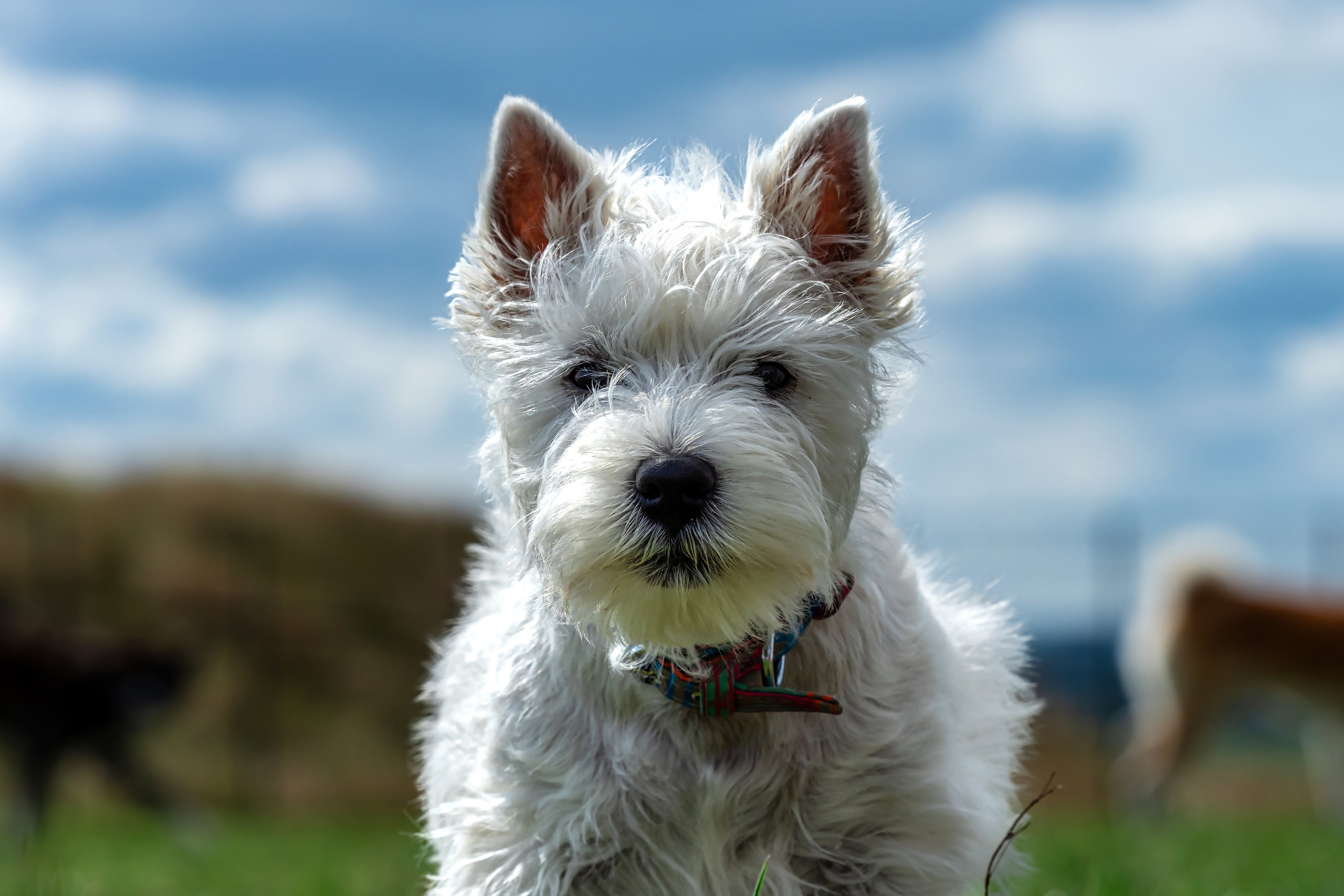 Blog. Photographe à Strasbourg | Portraits, Studio, Enfants, Événements