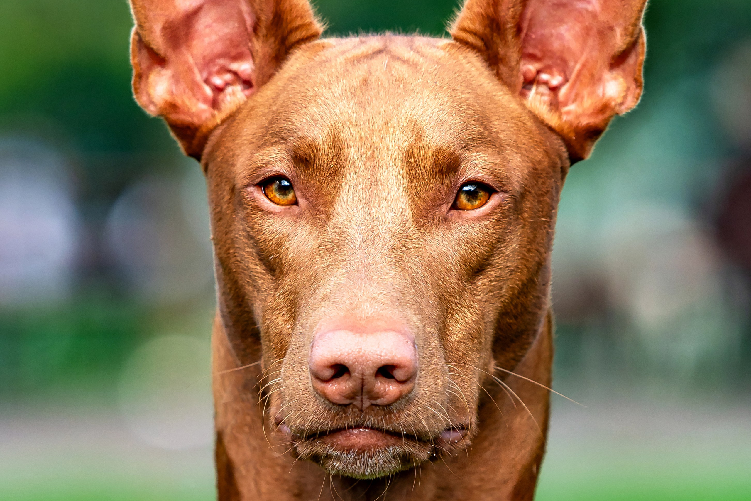 Blog. Photographe à Strasbourg | Portraits, Studio, Enfants, Événements