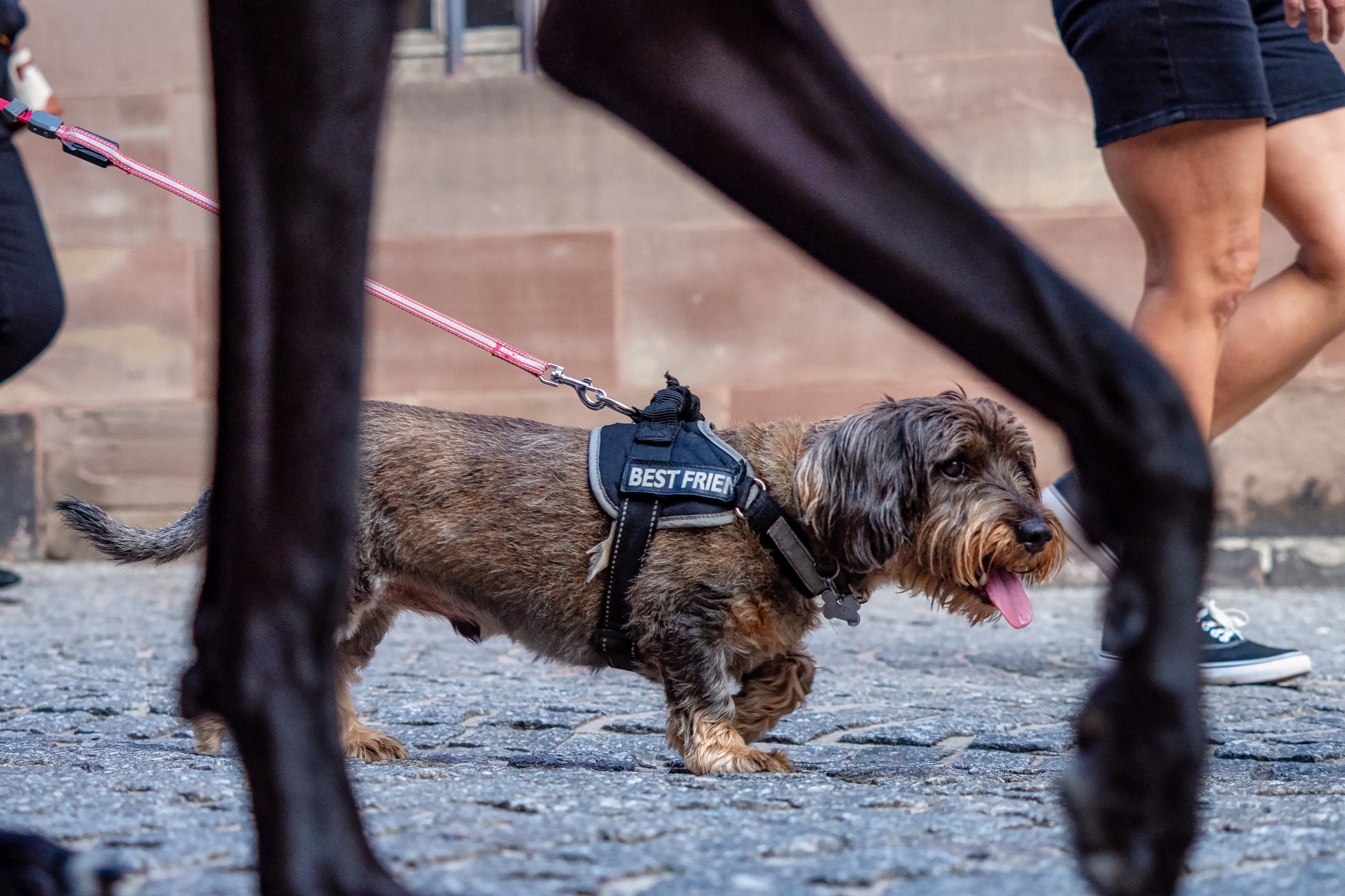 Blog. Photographe à Strasbourg | Portraits, Studio, Enfants, Événements