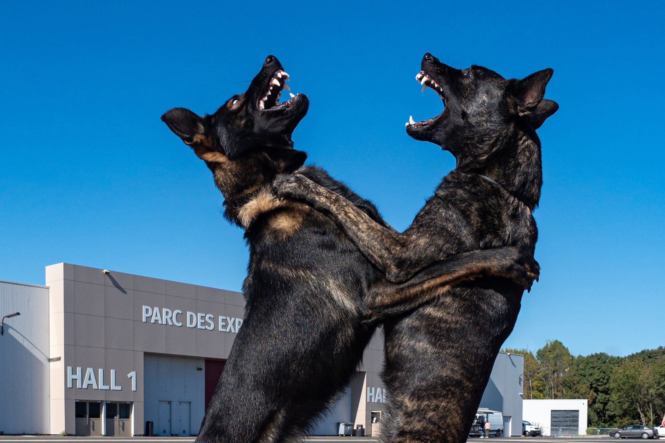 Blog. Photographe à Strasbourg | Portraits, Studio, Enfants, Événements