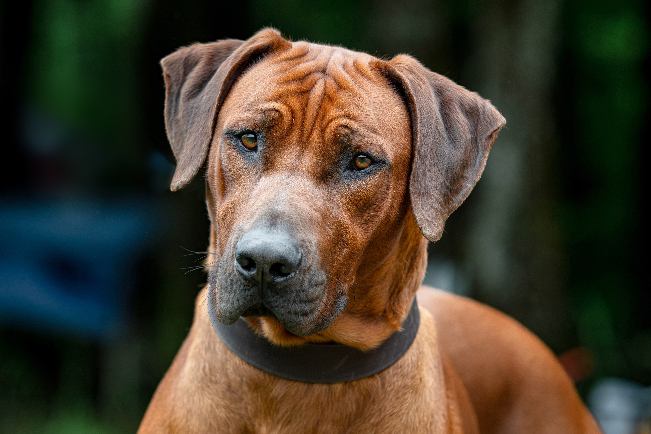 Blog. Photographe à Strasbourg | Portraits, Studio, Enfants, Événements