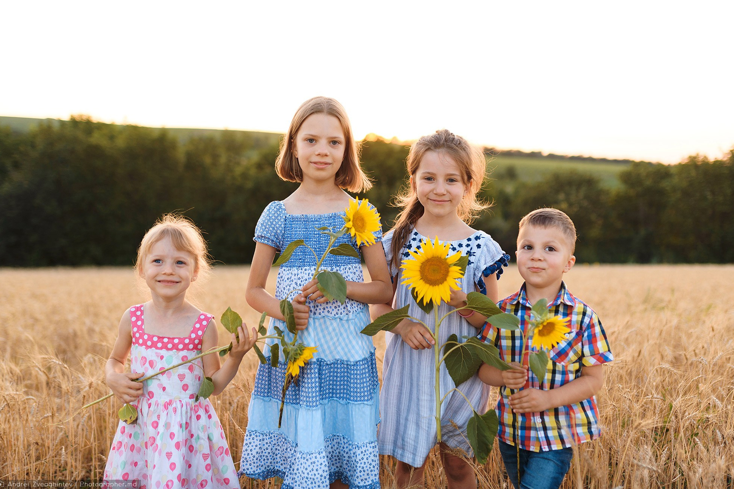 Family session in a wheat field