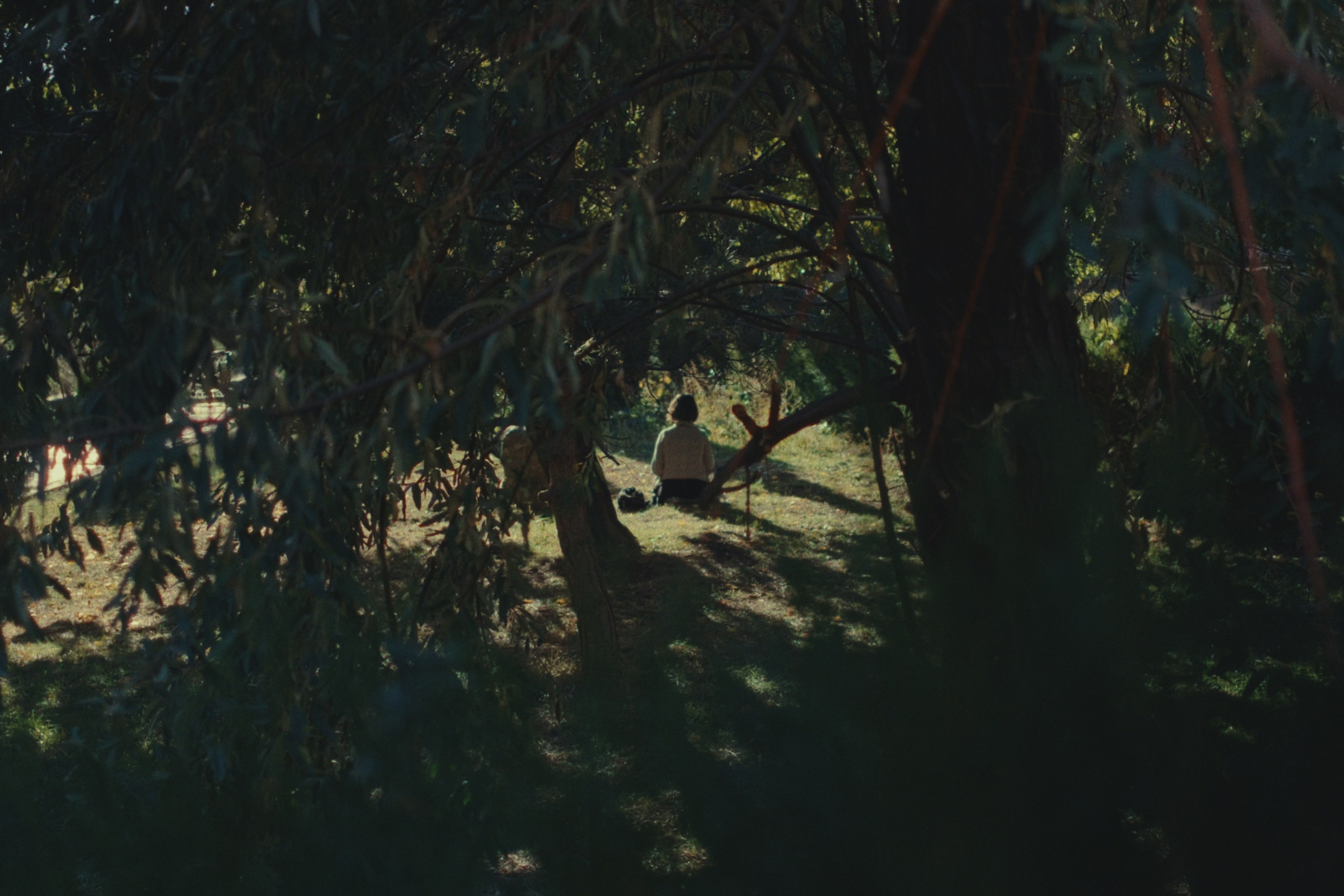 Colour Grading. Nikita Pavlov, Photographer — Vienna, Austria