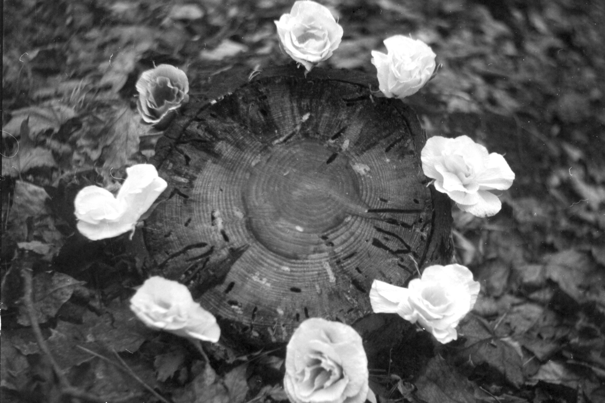 When it is day for angels in heaven, it is night for people on earth