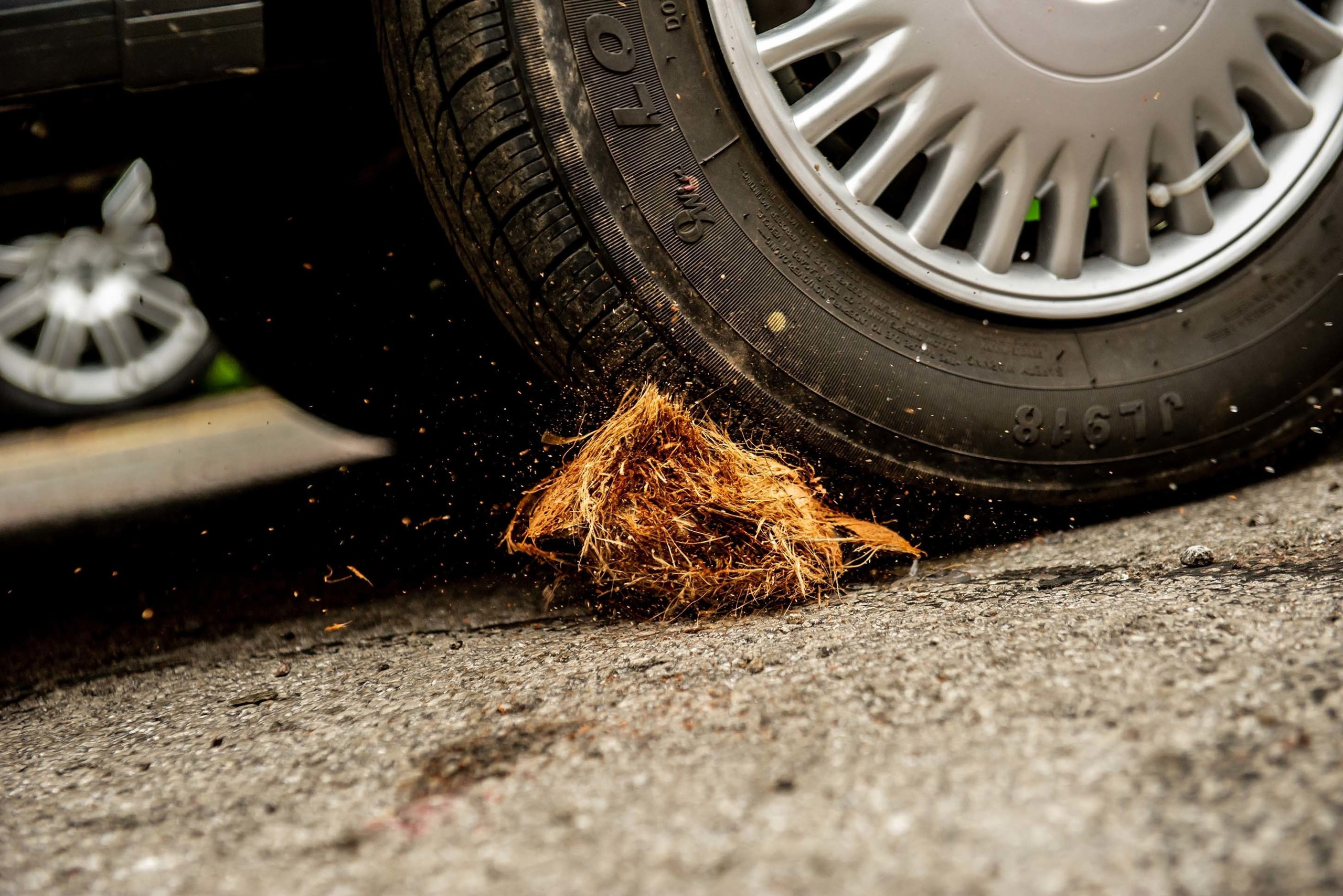 Wedding photographer Southall , London UK Nikon D850  Breaking a coconut Hindu wedding
