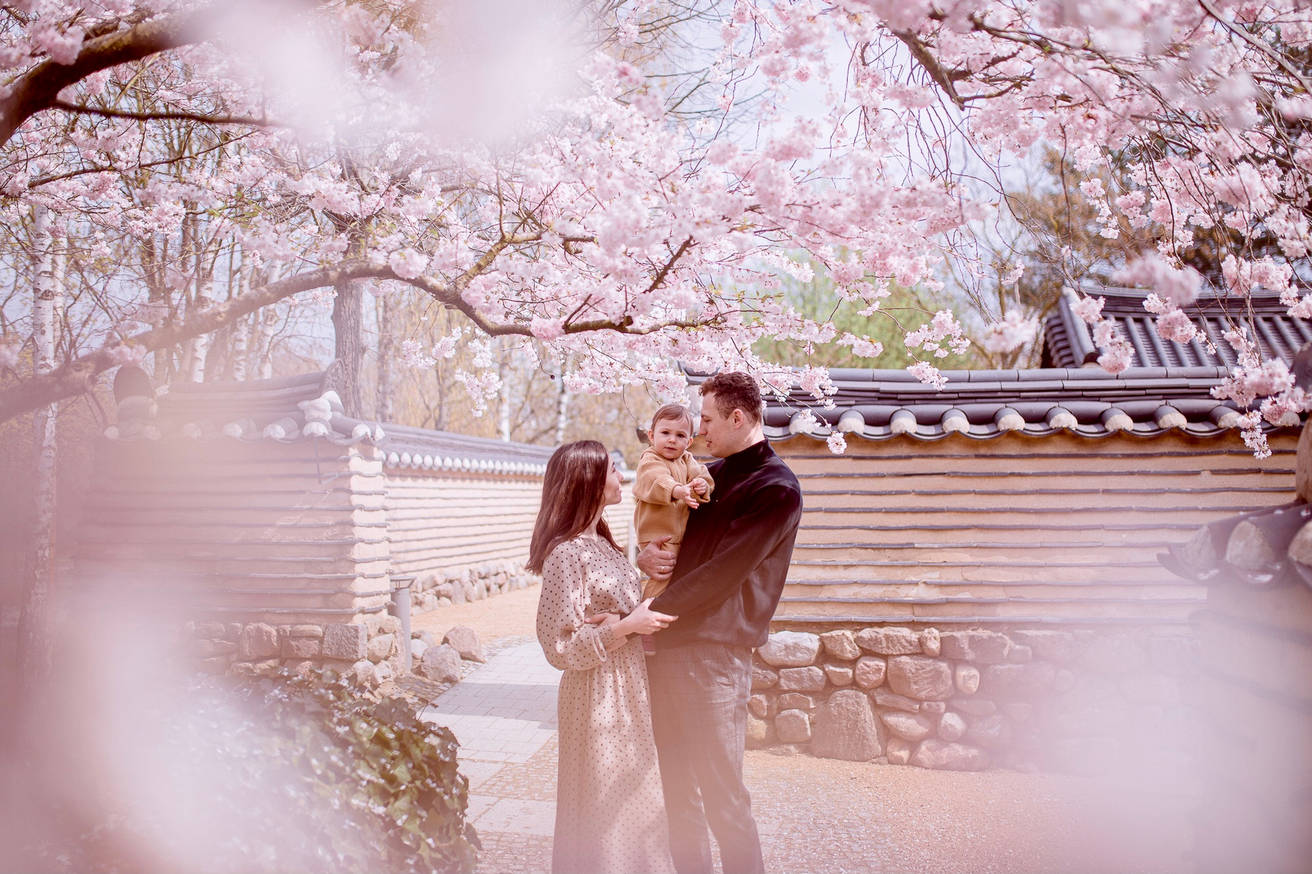 Kirschblüten in Gärten der Welt