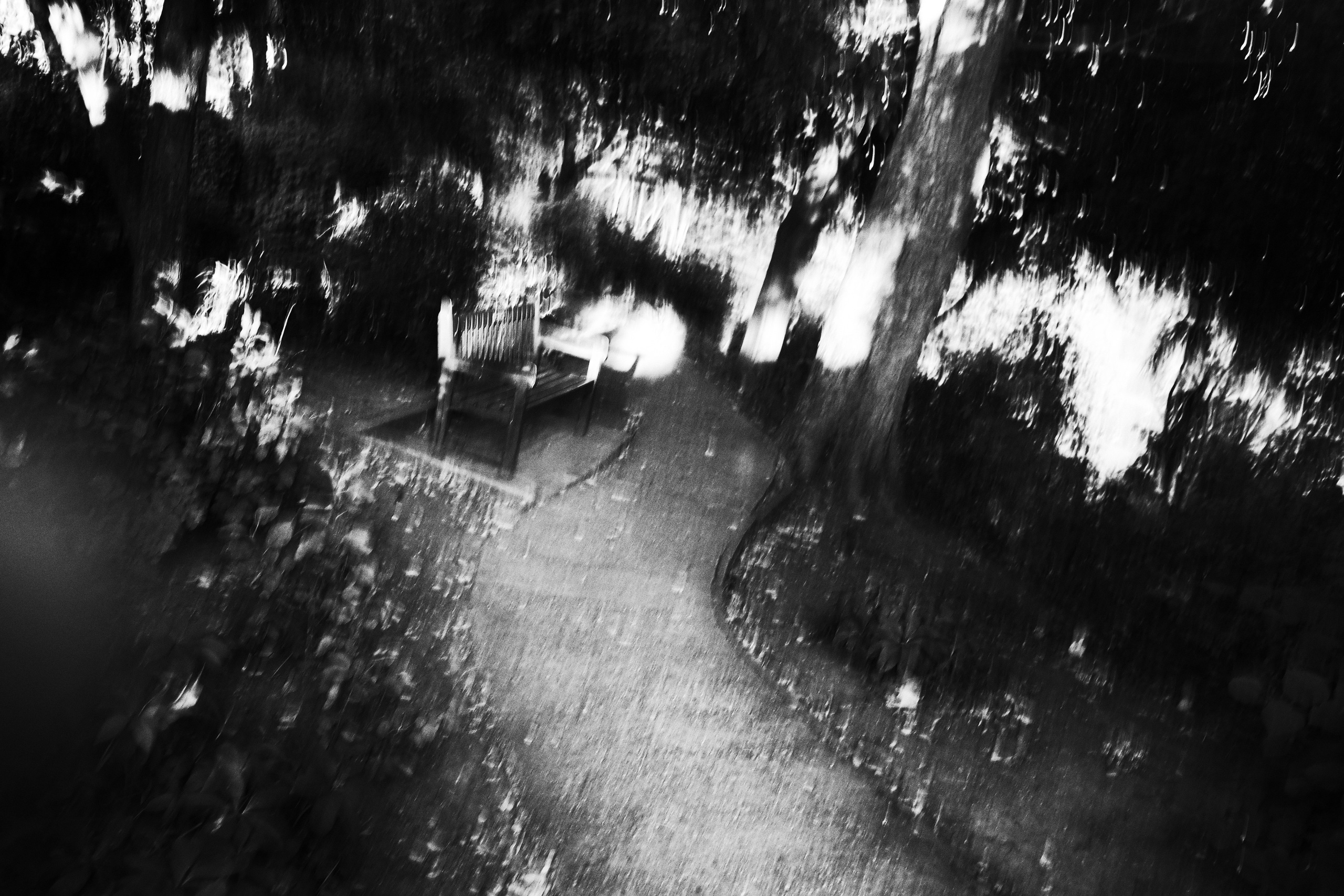 Garden of Forking Paths