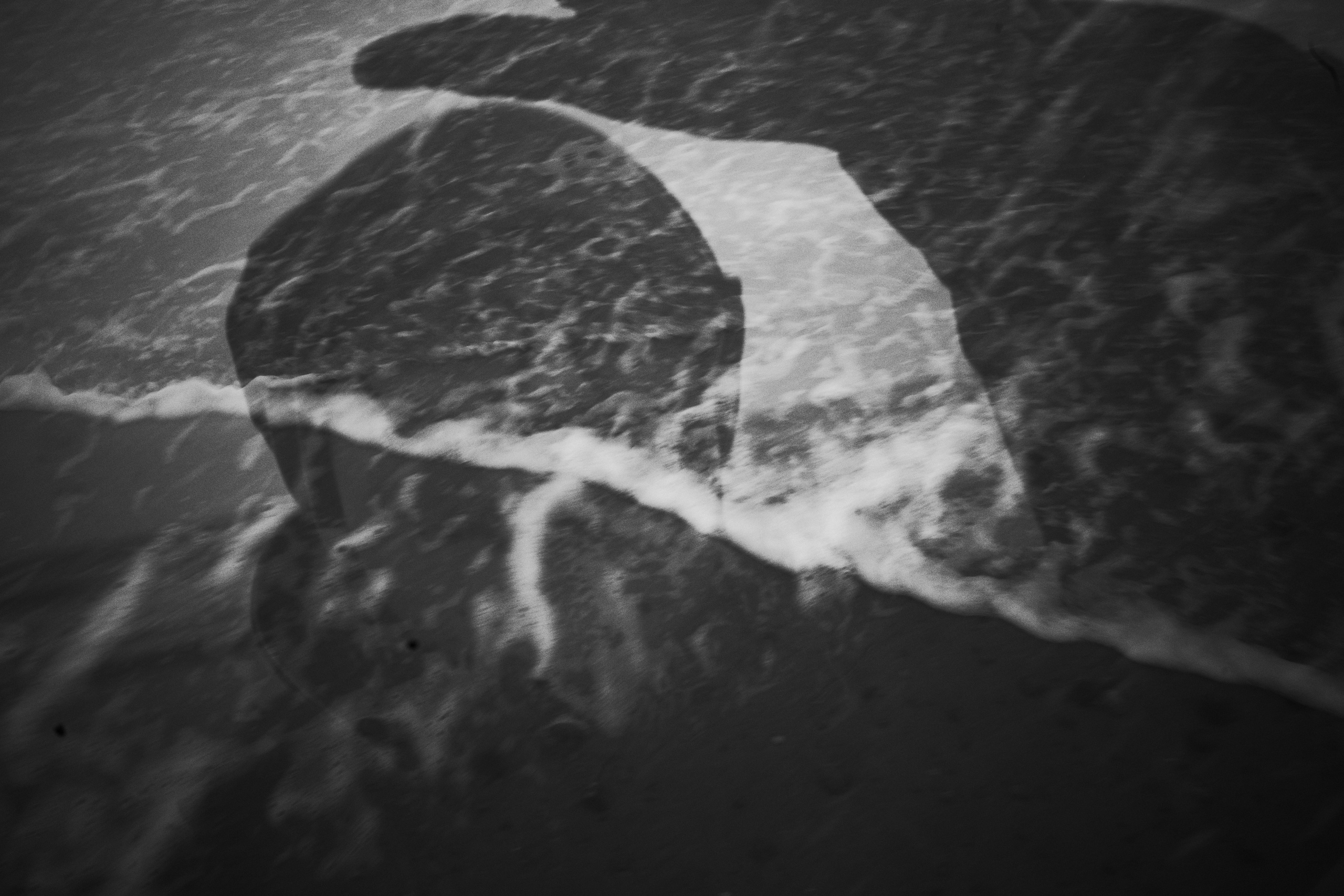 Dance at the new moon