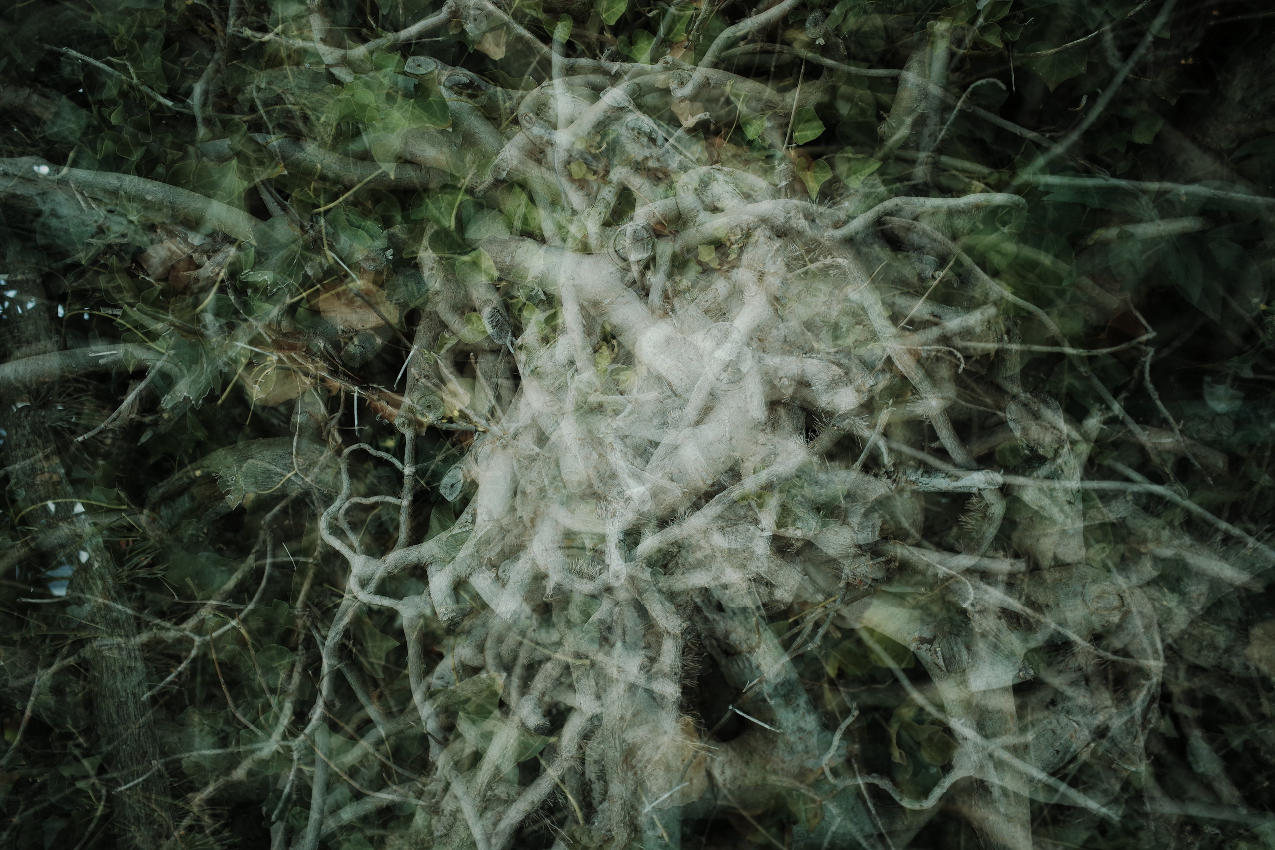 Angry walk of not belonging