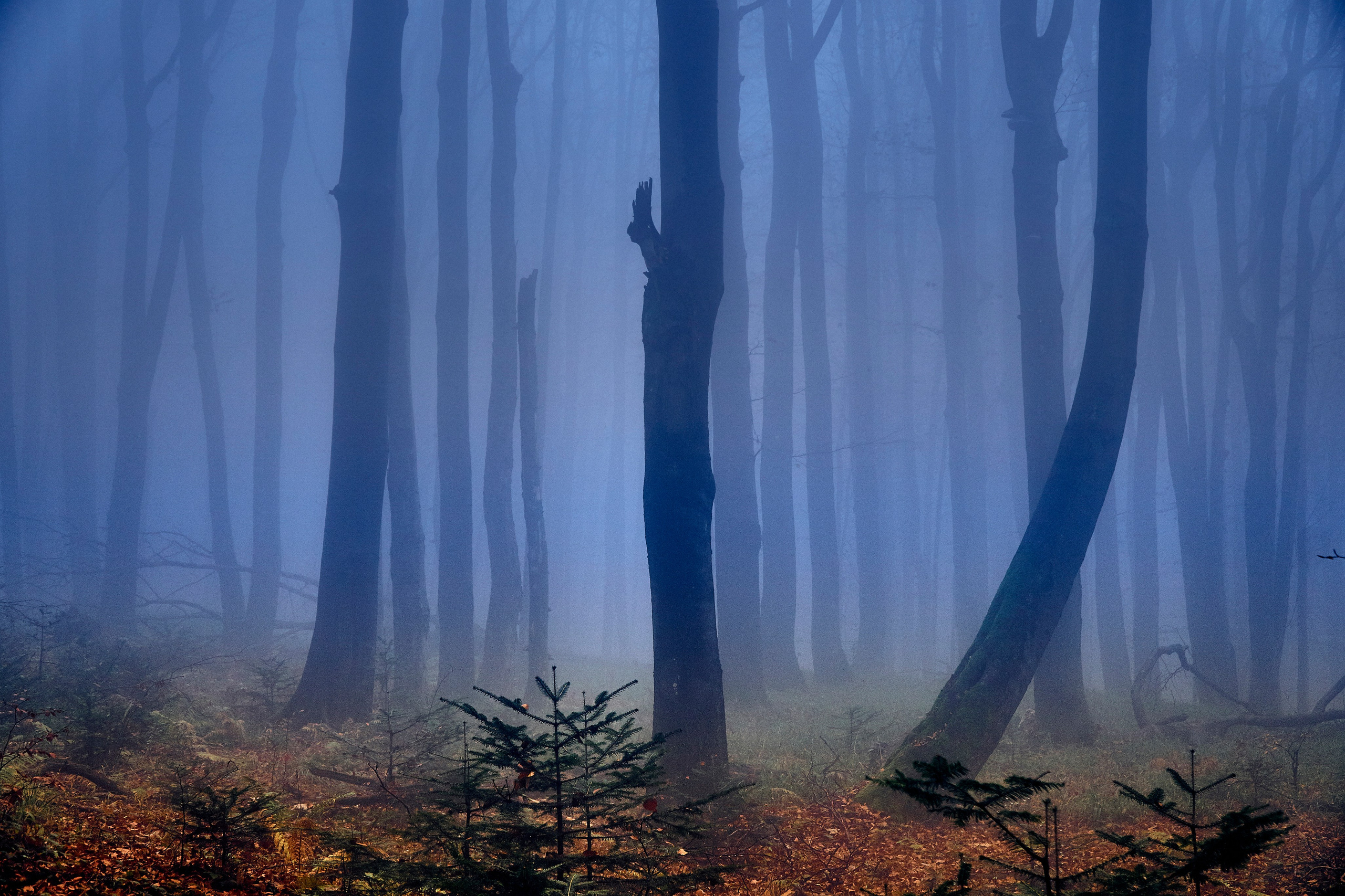 Bieszczady - tu zatrzymuje się czas