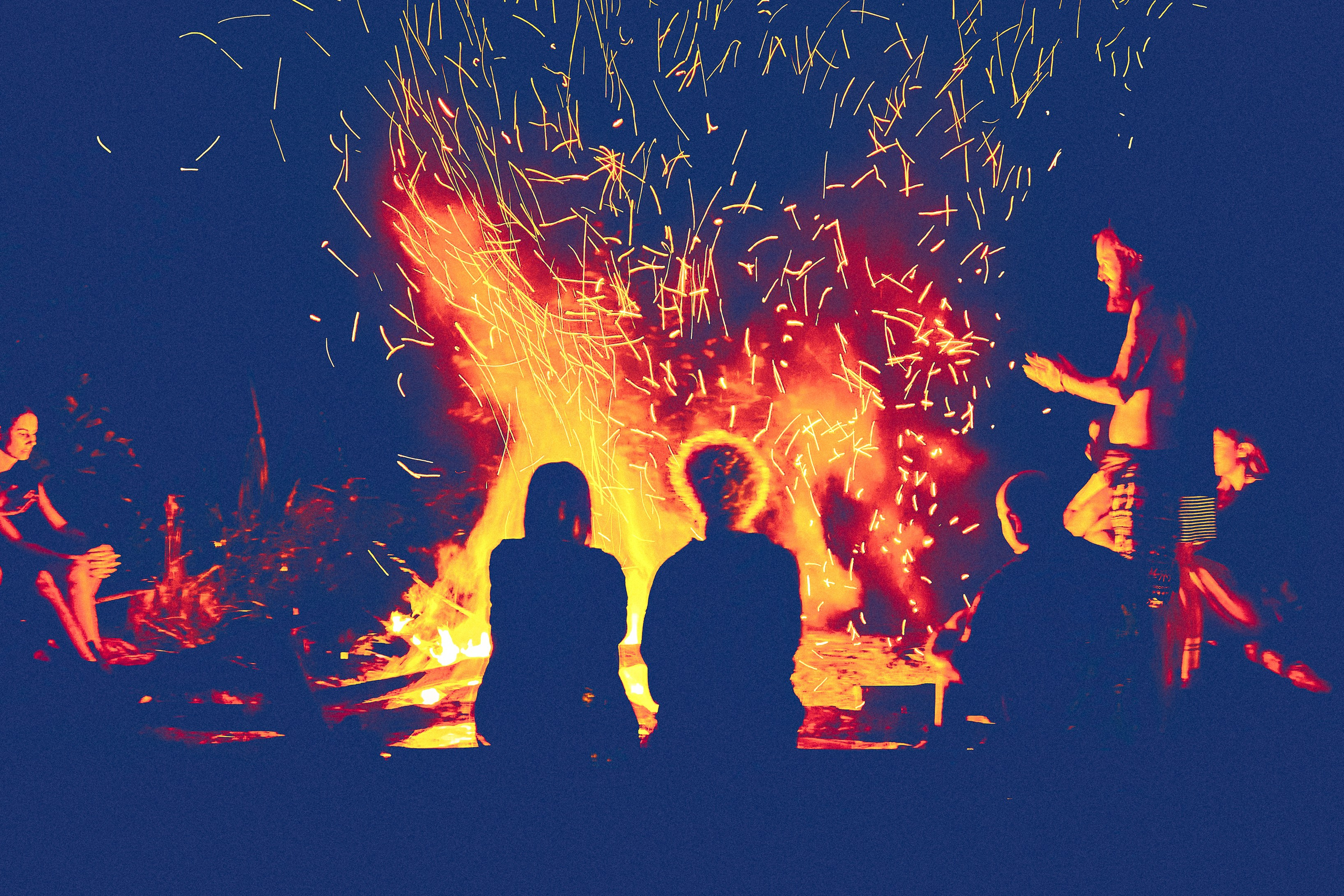 Organic Festival 2024