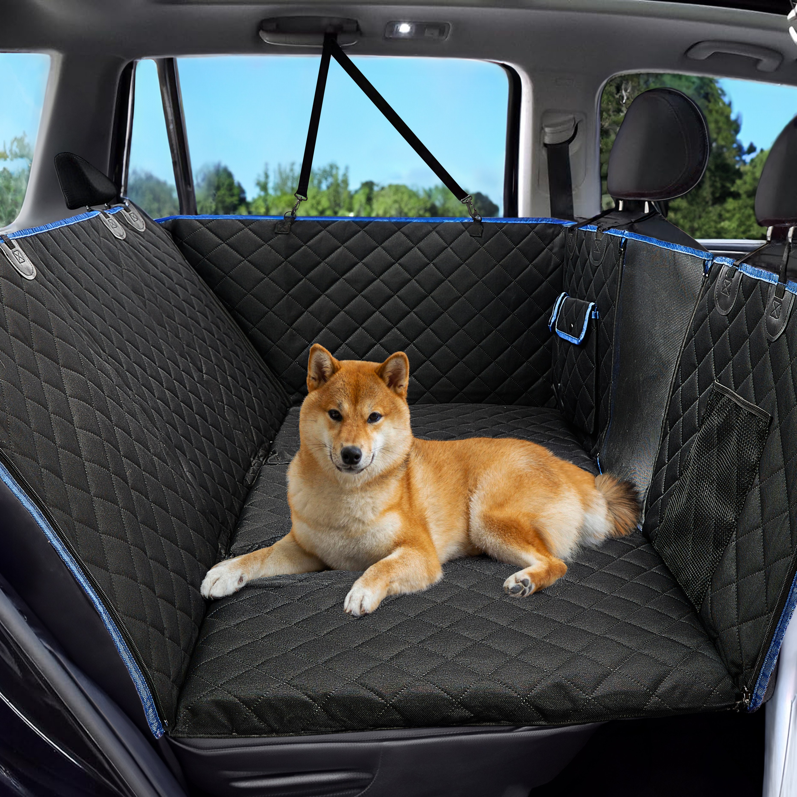 Fotografía para Productos para Mascotas y Accesorios para Animales