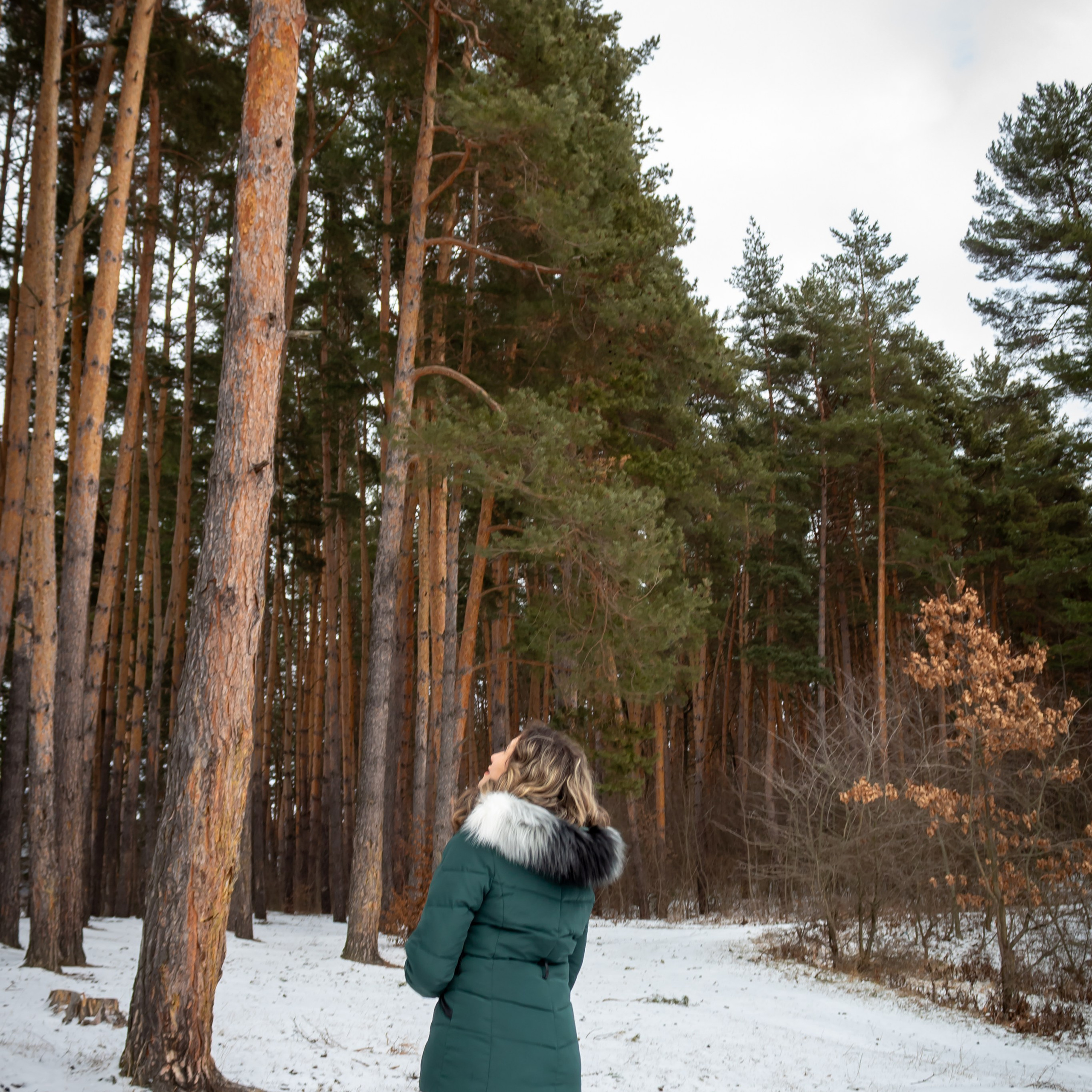 Creative Experiments