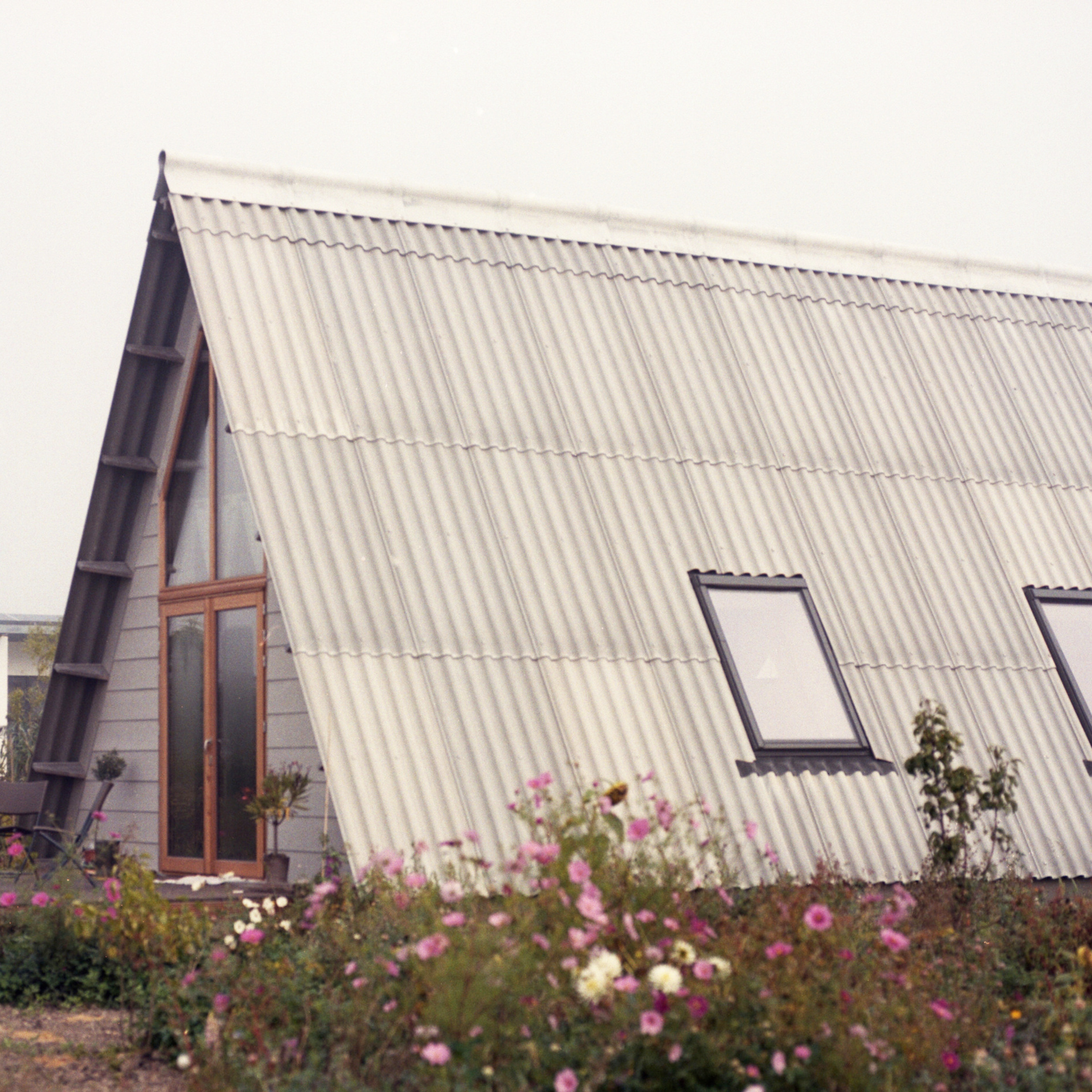 Reviews. Portrait Photographer in Brussels & Amsterdam — Victoria Ushkanova