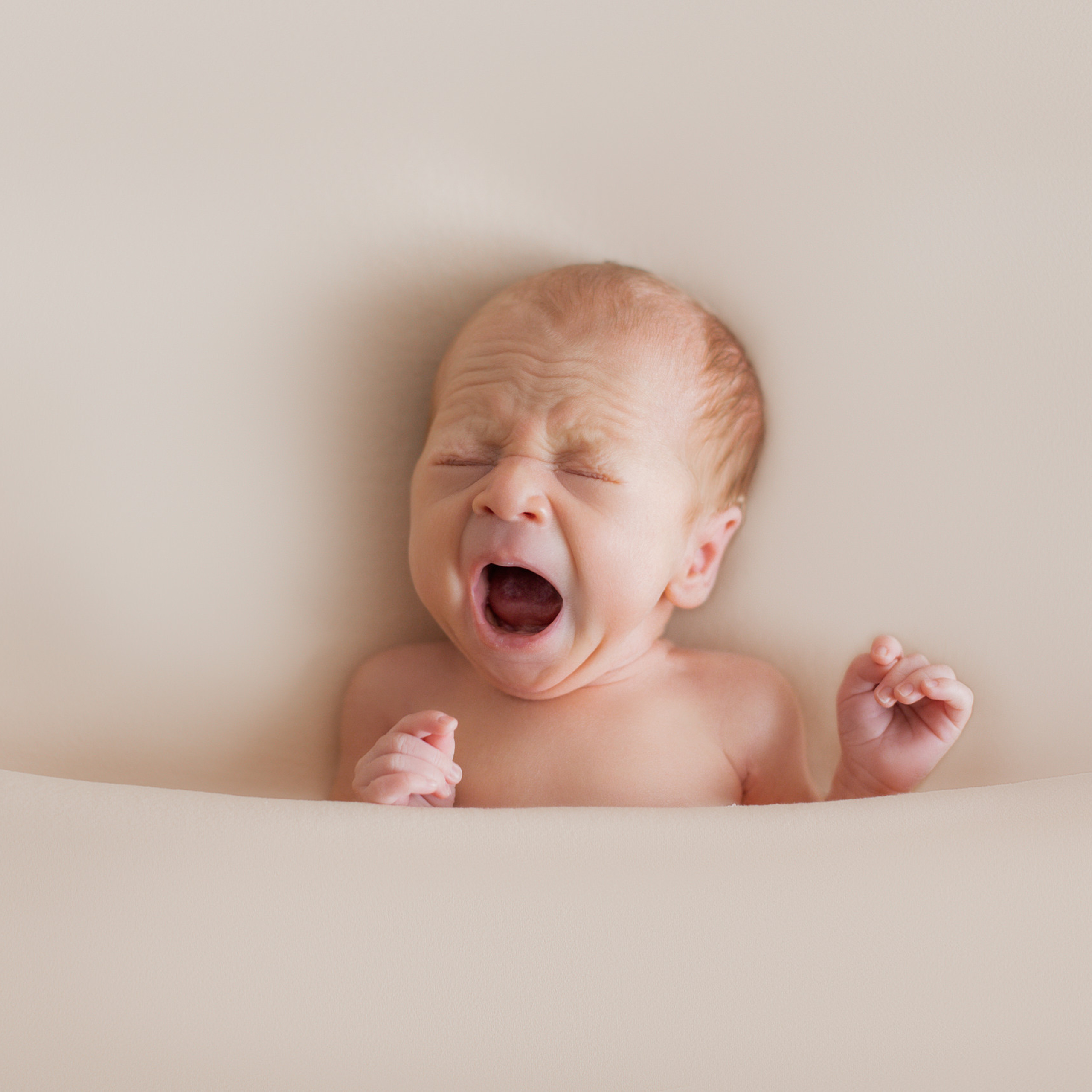 Mielipiteitä. Valokuvaaja Itä-Uudellamaalla Viktoria photography