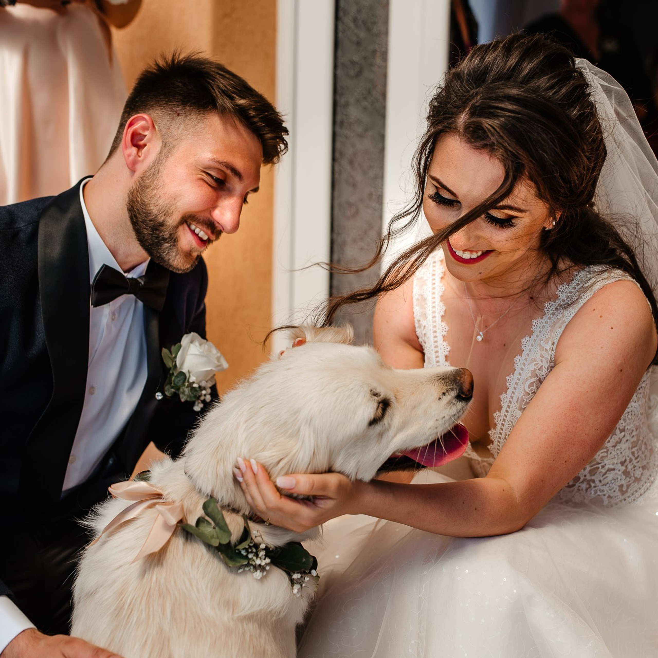 Nuntă — Flavia și Alexandru