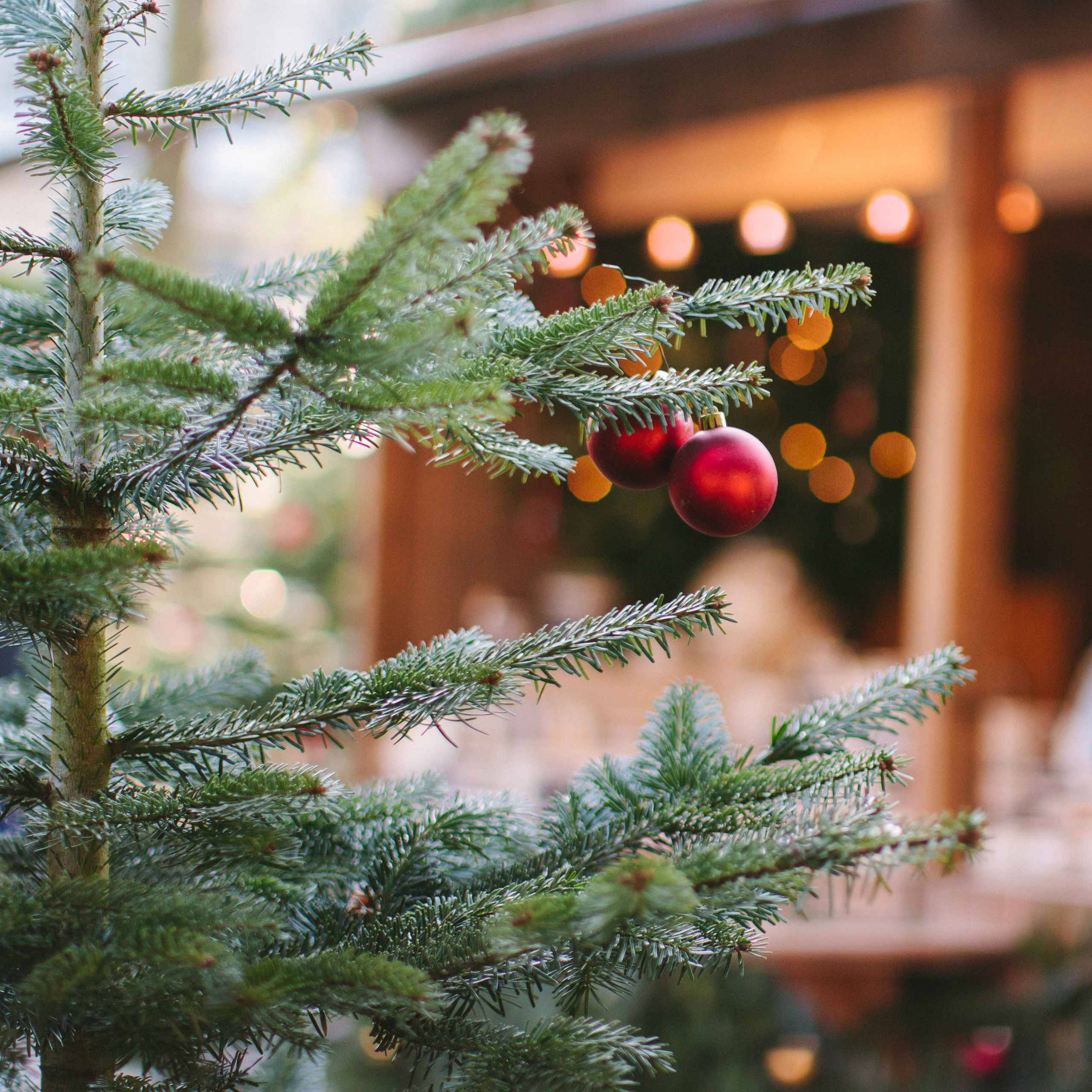 Bodensee im Juli. Maria Chistyakovа — Fotografin in Karlsruhe, Baden-Baden und Umgebung
