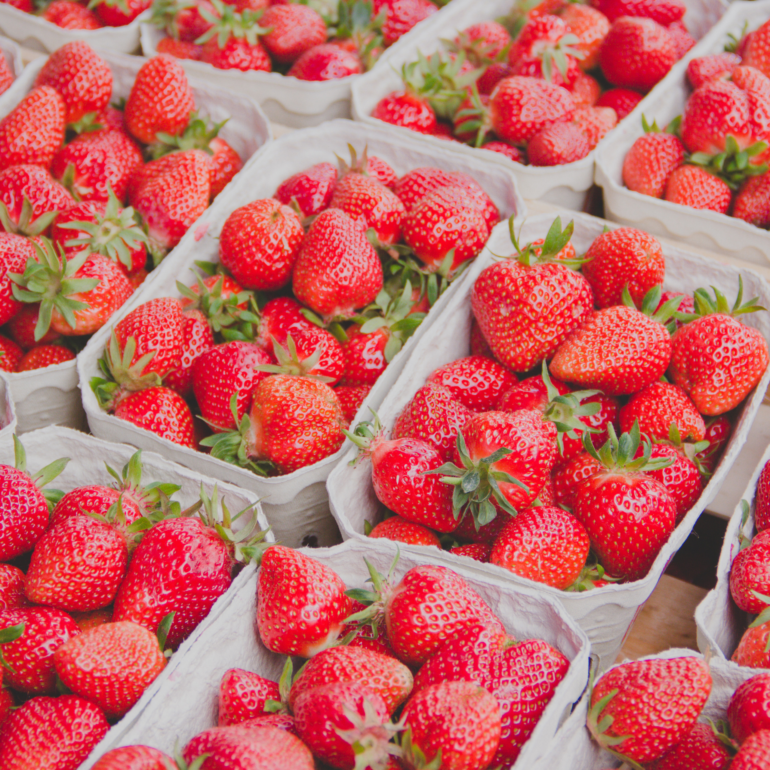 Города-курорты Германии. Maria Chistyakovа — Fotografin in Karlsruhe, Baden-Baden und Umgebung