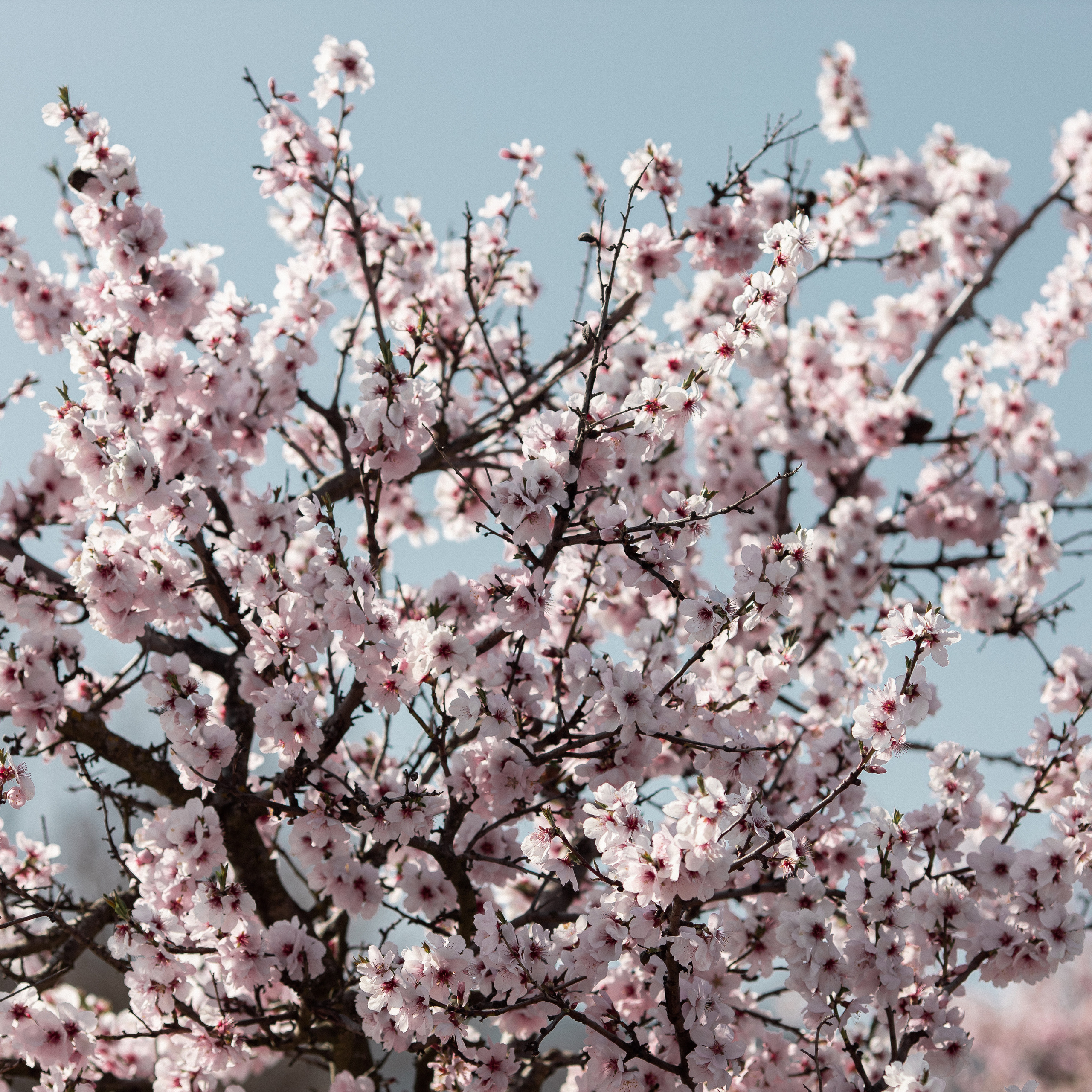 Дом Хундертвассера под Штутгартом. Maria Chistyakovа — Fotografin in Karlsruhe, Baden-Baden und Umgebung