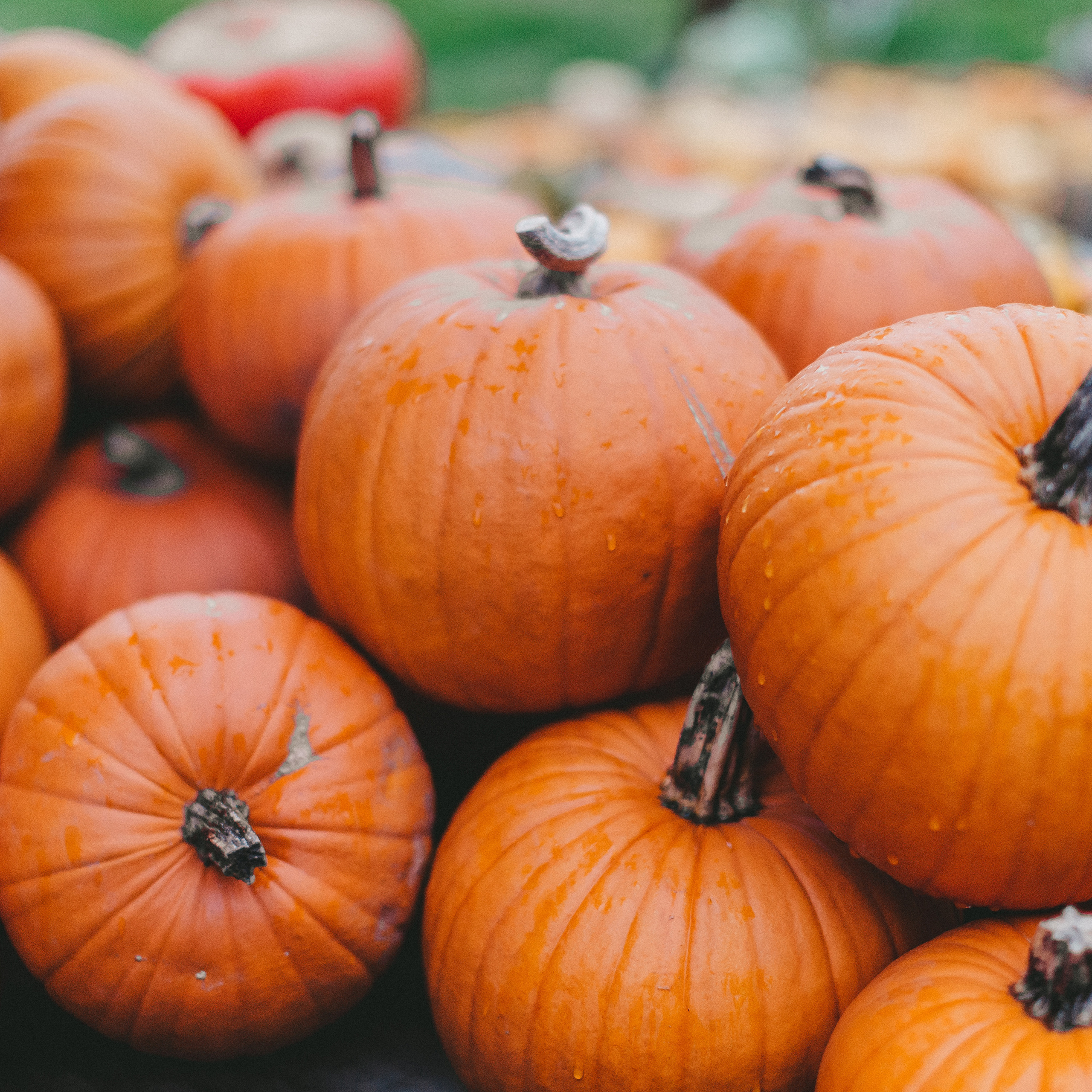 Дом Хундертвассера под Штутгартом. Maria Chistyakovа — Fotografin in Karlsruhe, Baden-Baden und Umgebung