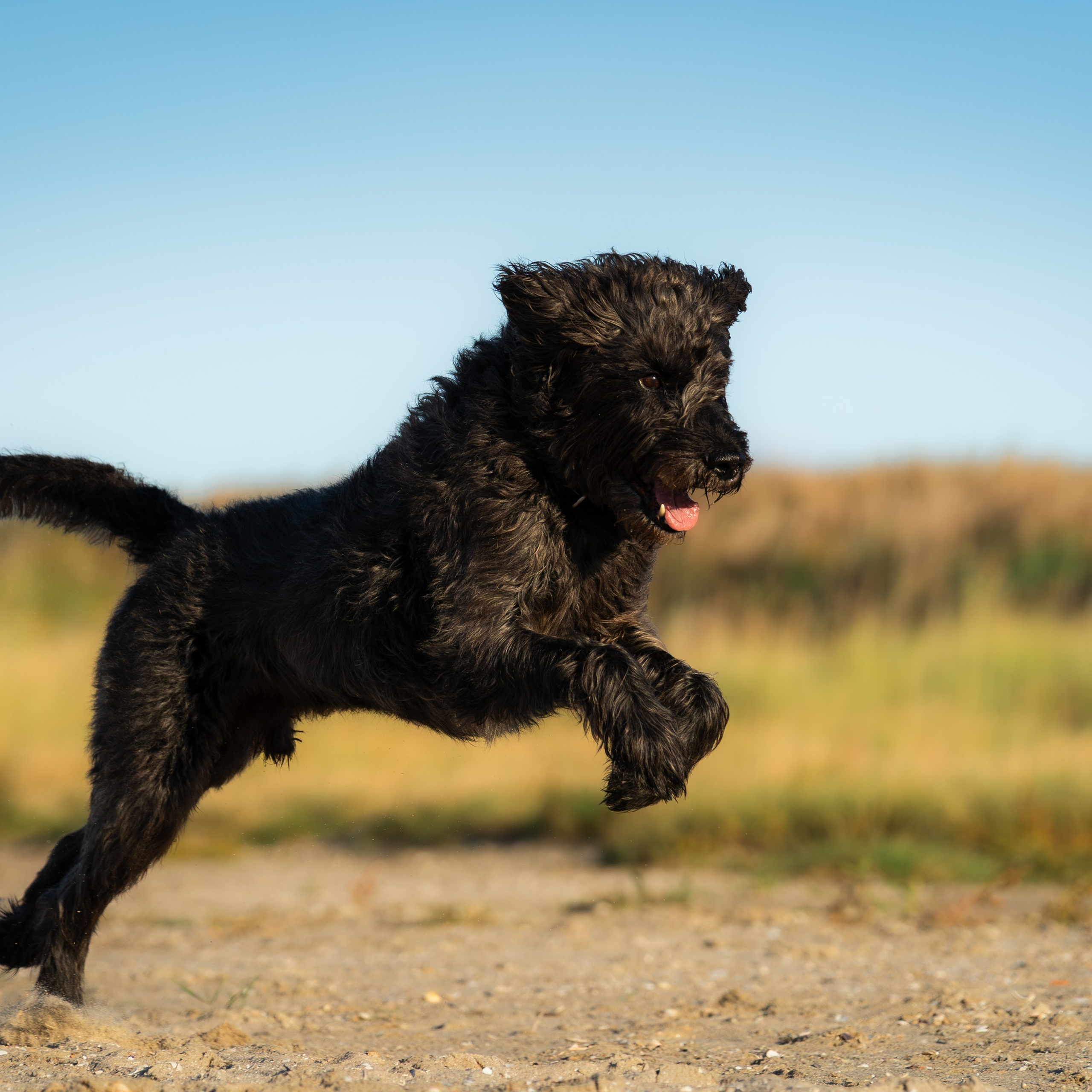 Referenzen. Thorben Ihler - Dein Fotograf aus Emden