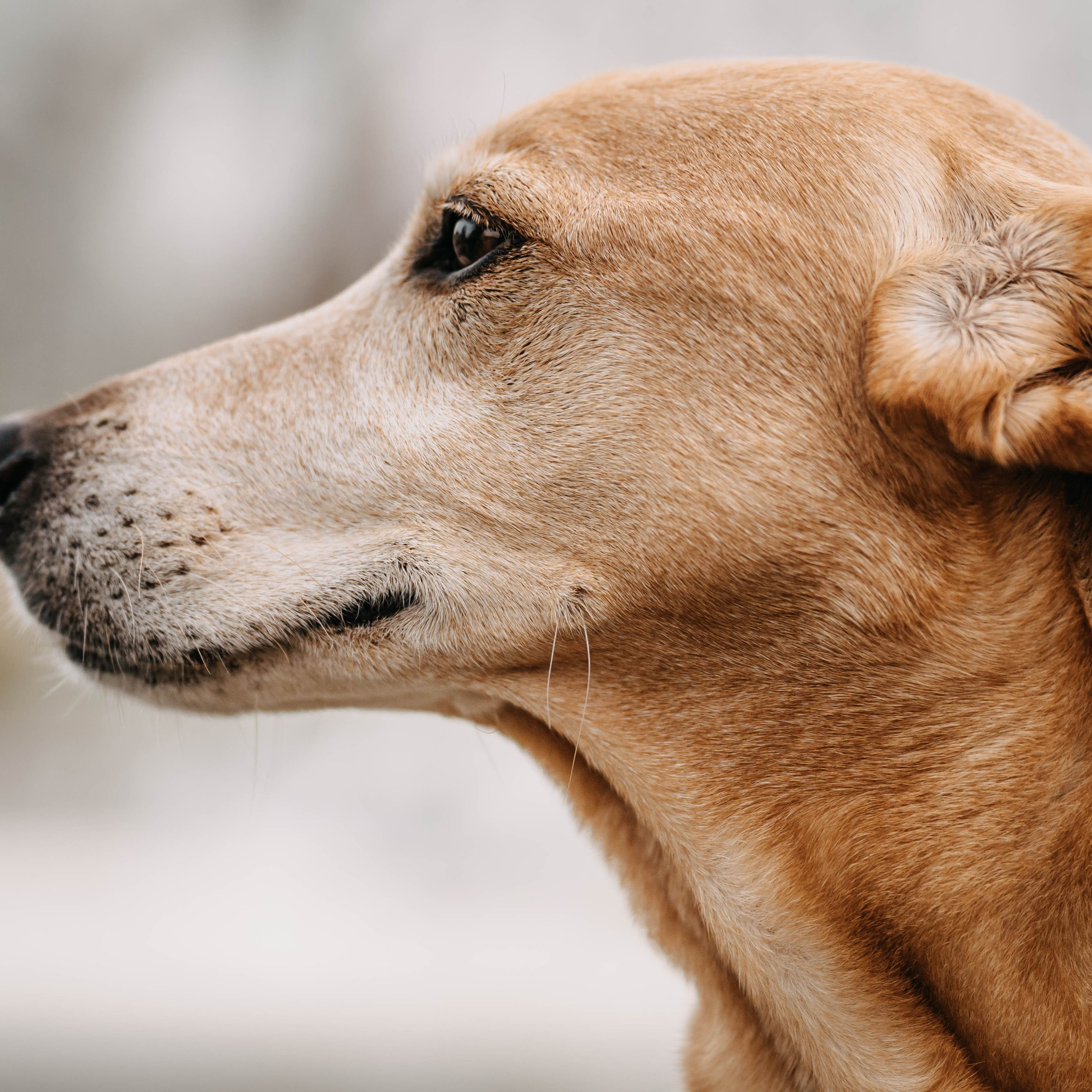 Referenzen. Thorben Ihler - Dein Fotograf aus Emden
