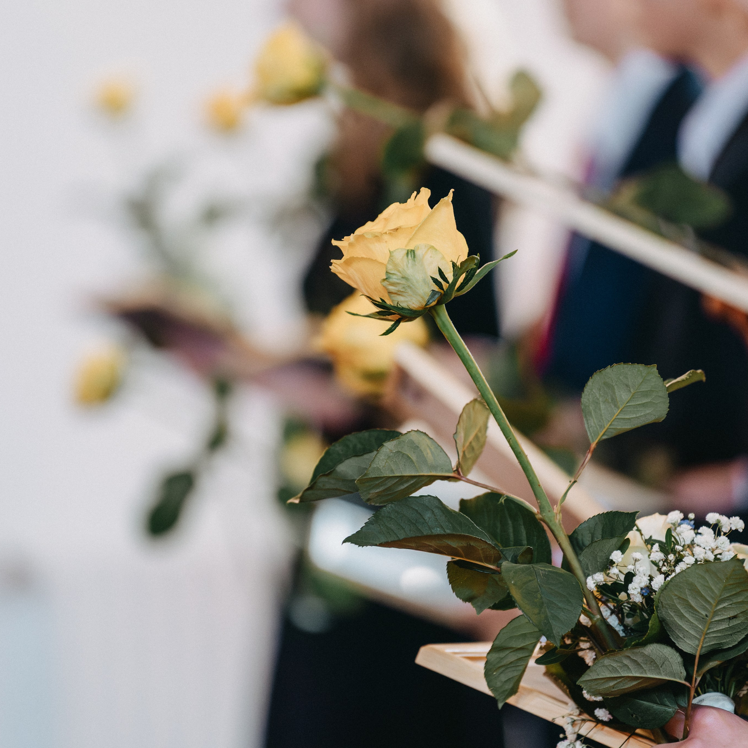 Referenzen. Thorben Ihler - Dein Fotograf aus Emden