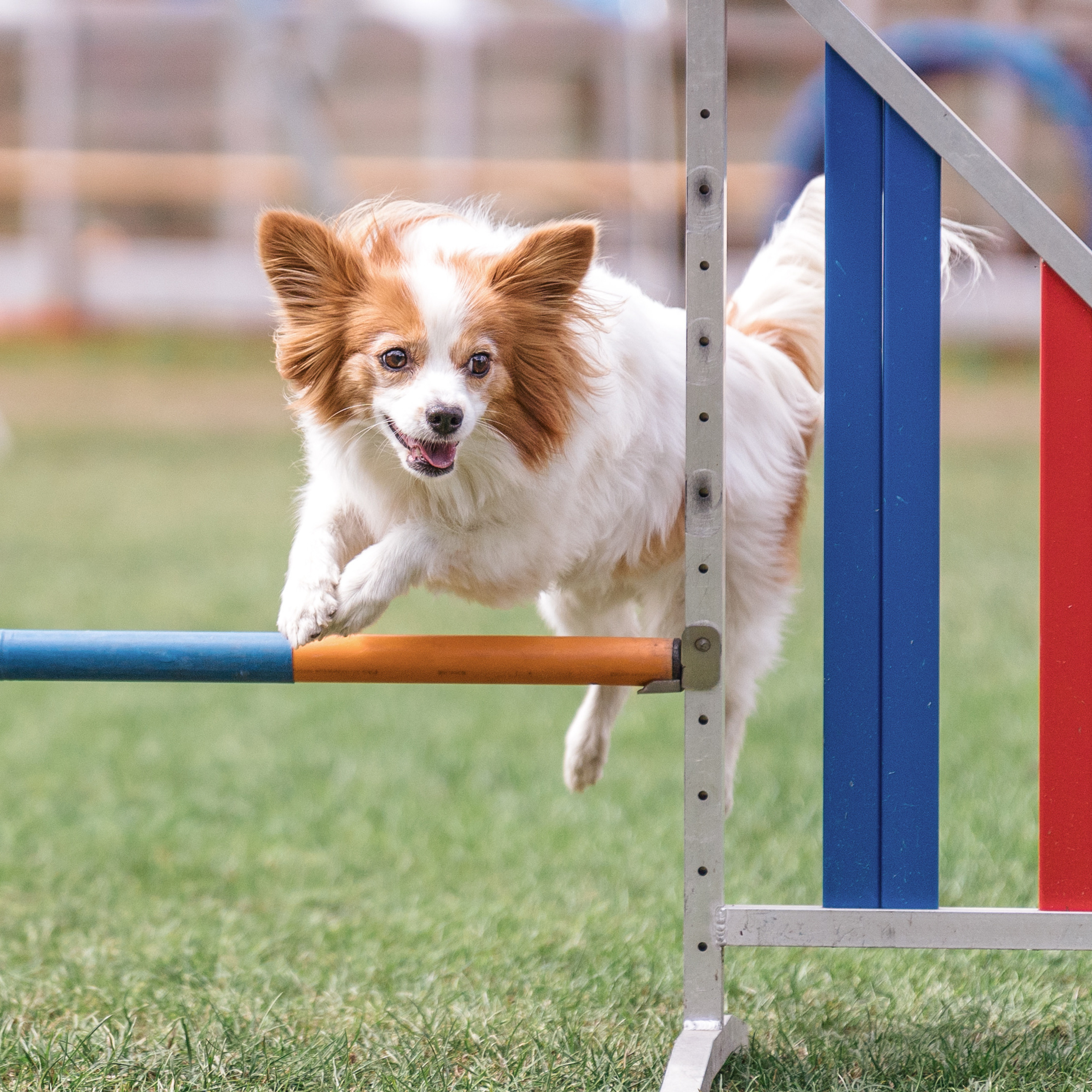 Referenzen. Thorben Ihler - Dein Fotograf aus Emden