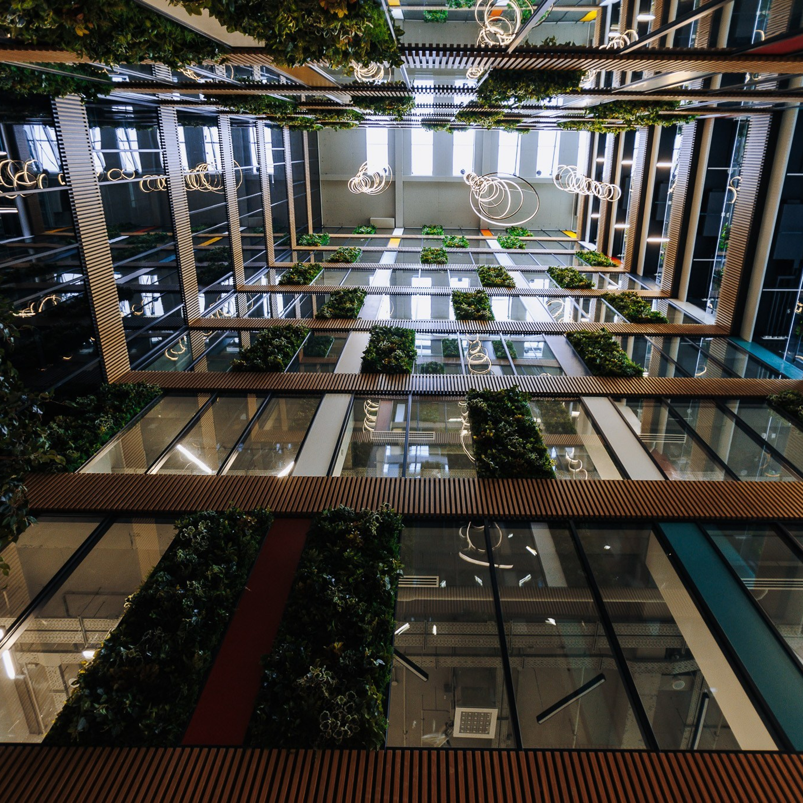 RECENZII. Fotograf de nuntă în Chisinau, Moldova. Poze și Video Comerciale