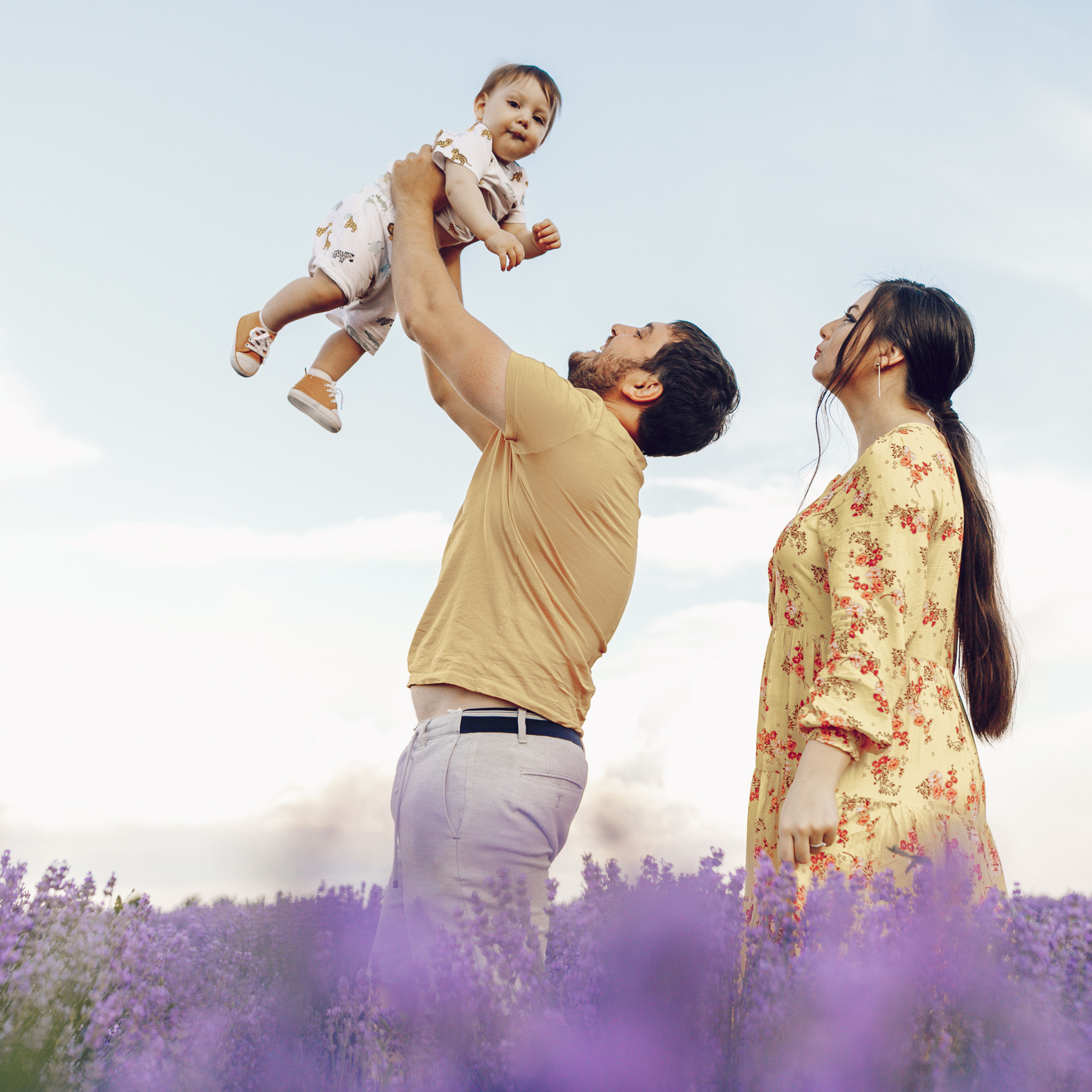 Emir / cîmp de levănțică