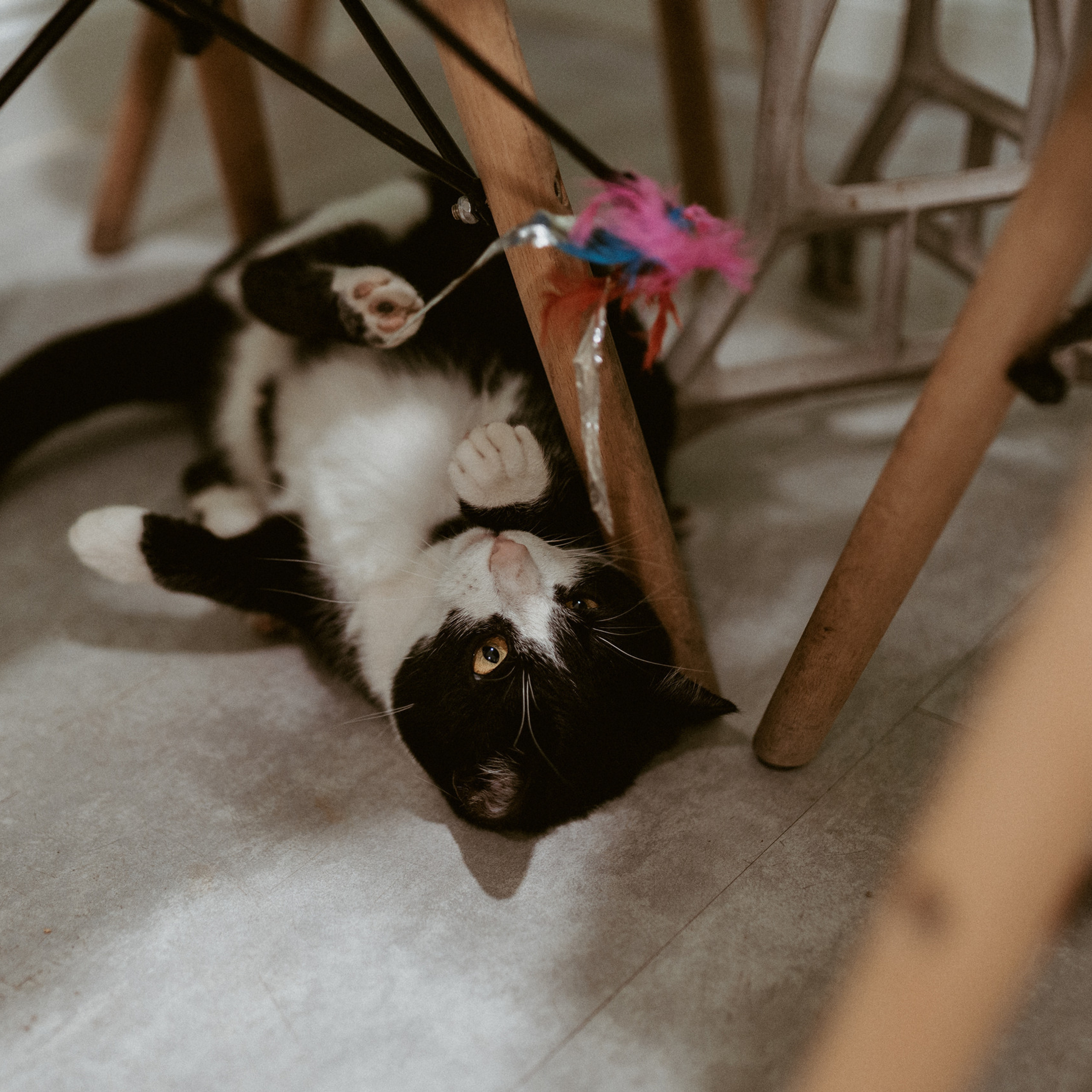 OPINIE. Karkowskafoto - fotografia miłości