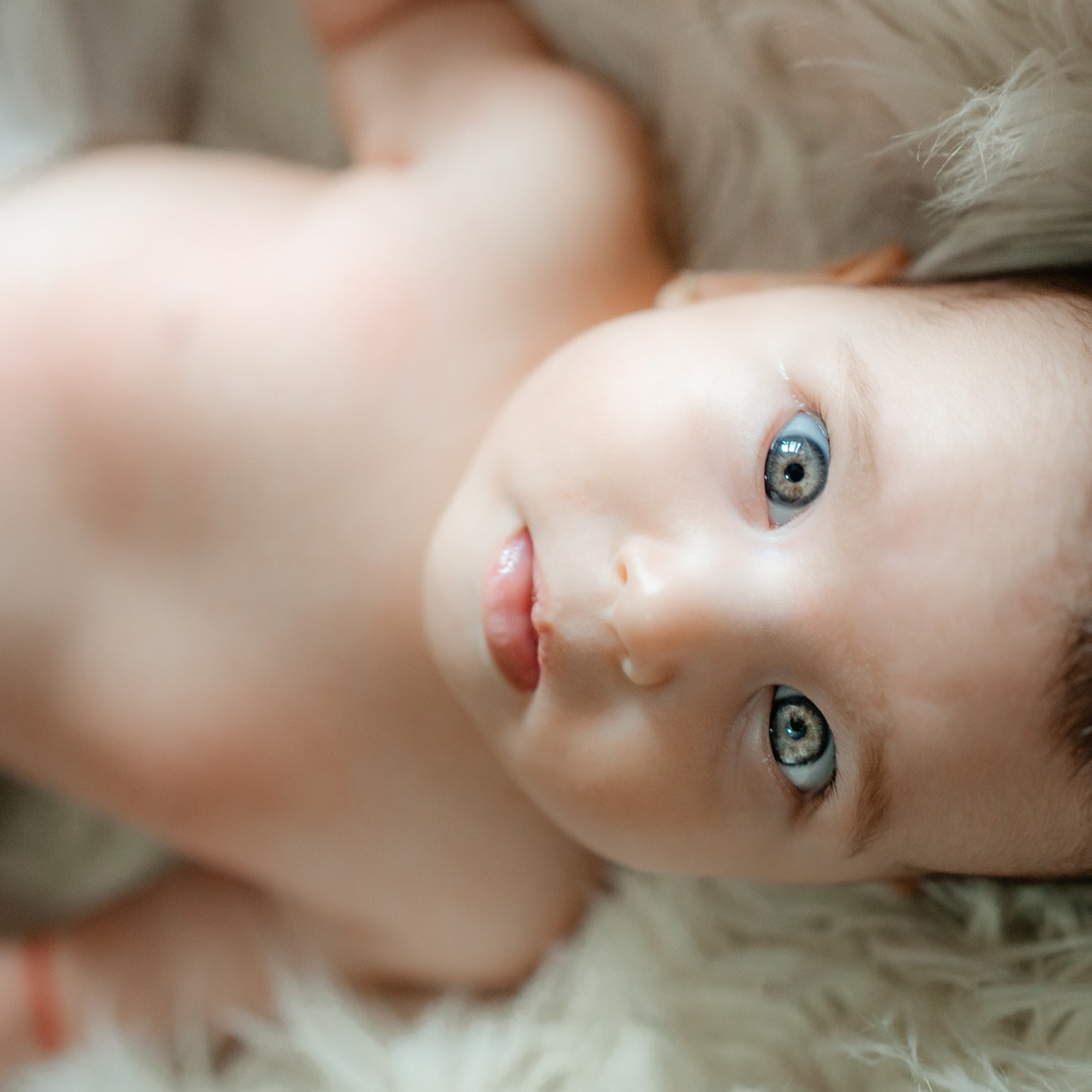 Botez Evelina | Berbesti