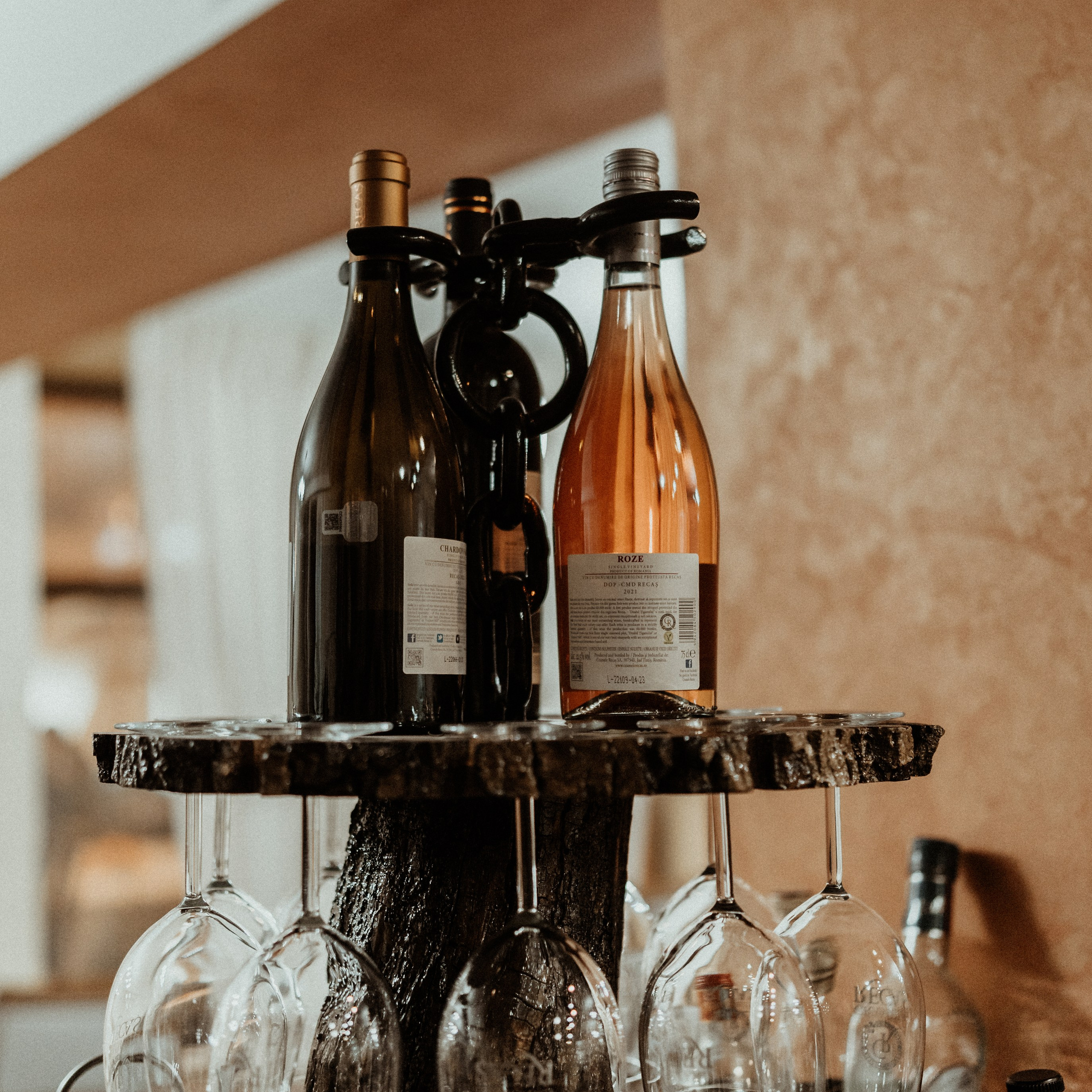 Descoperă Pensiunea Cheile-Oltetului prin Lentila mea