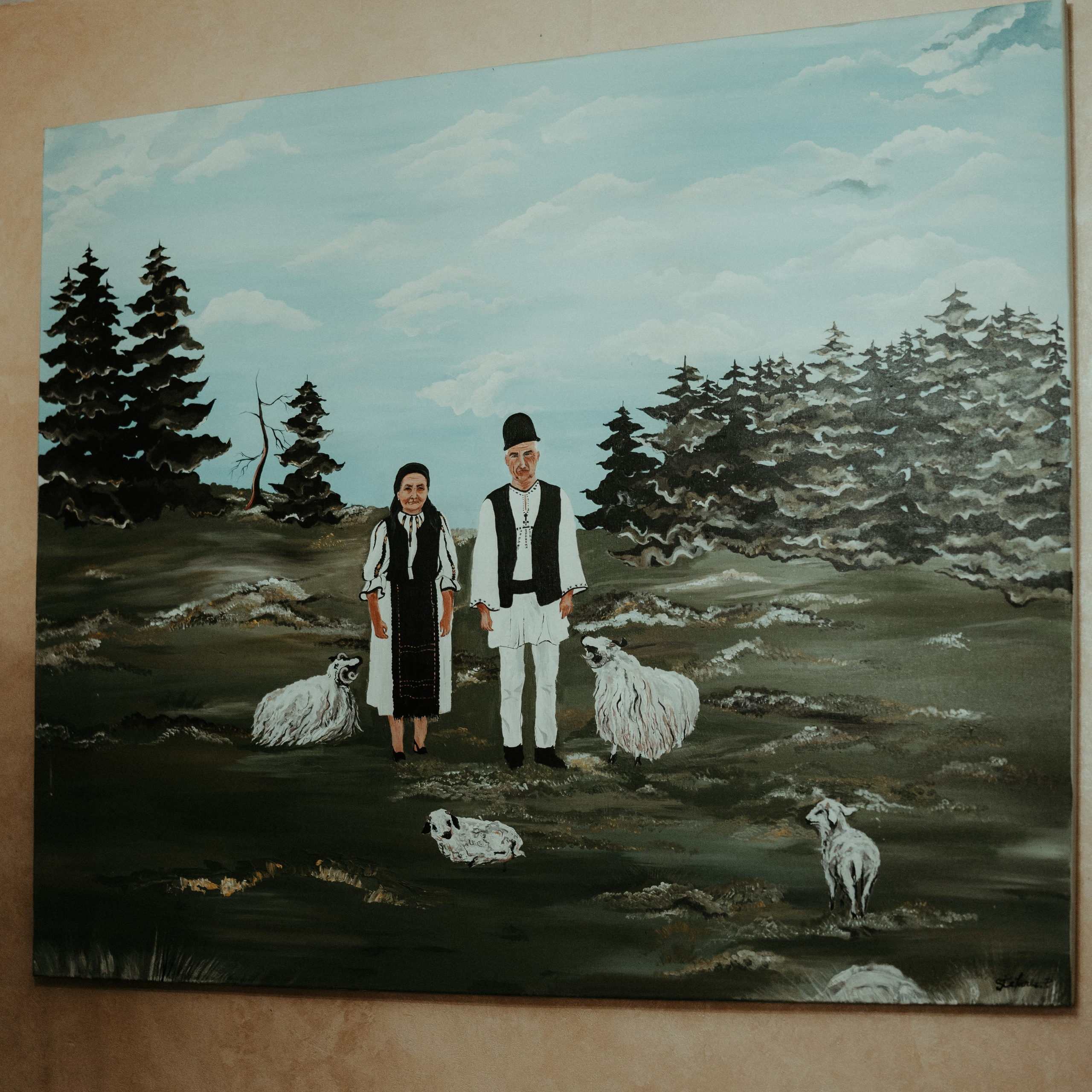 Descoperă Pensiunea Cheile-Oltetului prin Lentila mea