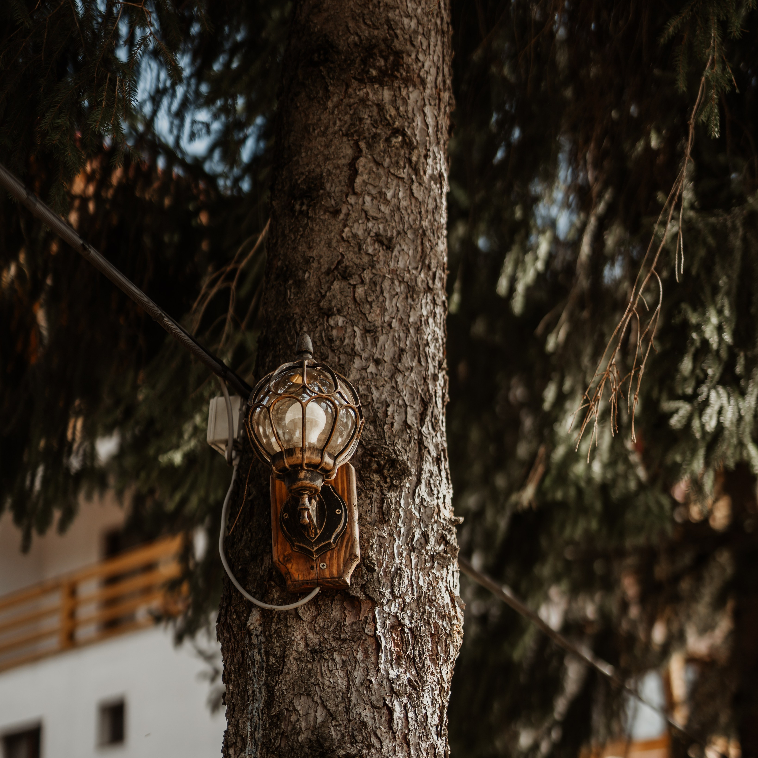 Descoperă Pensiunea Cheile-Oltetului prin Lentila mea