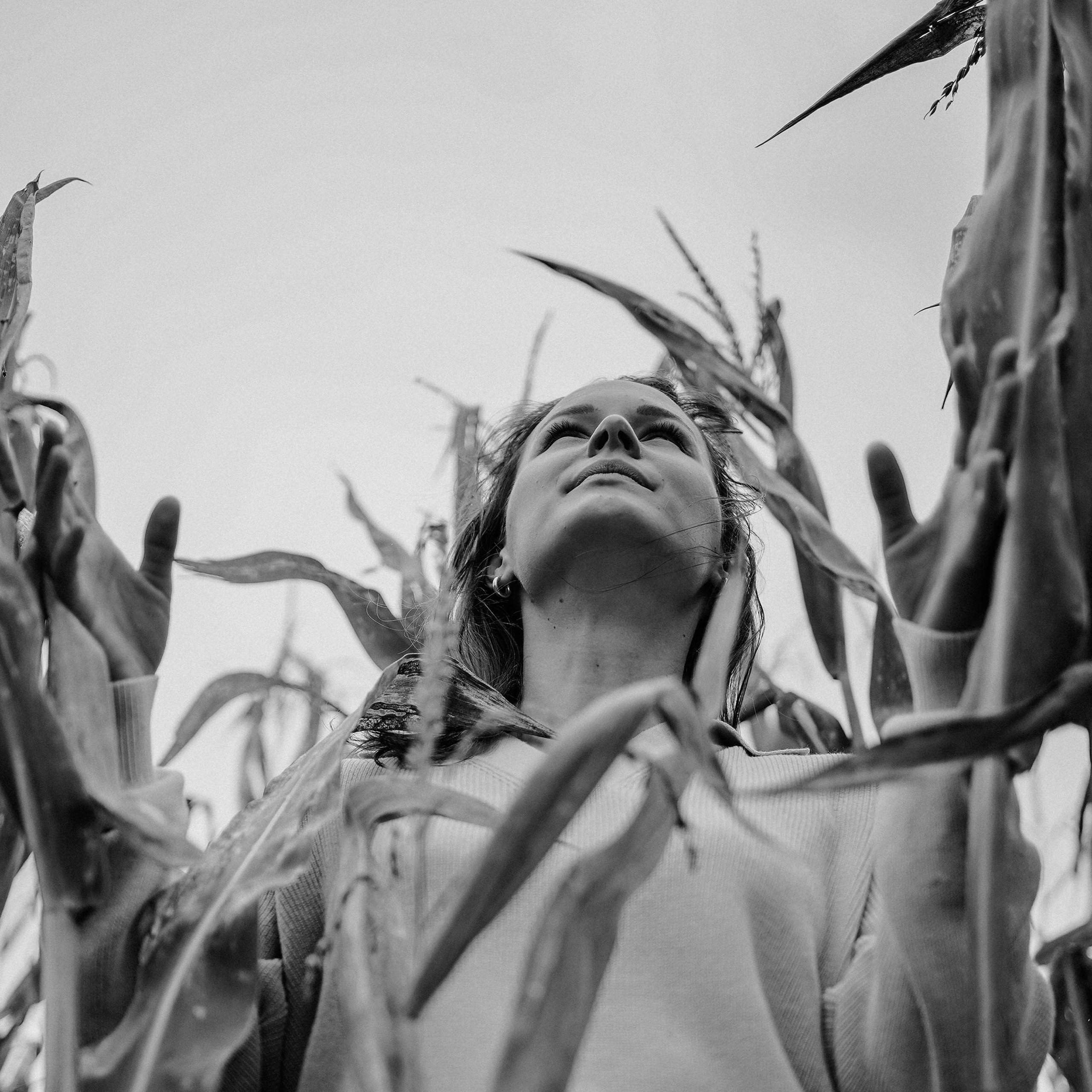 “In tall grass”. Editorial for https://preri.com/