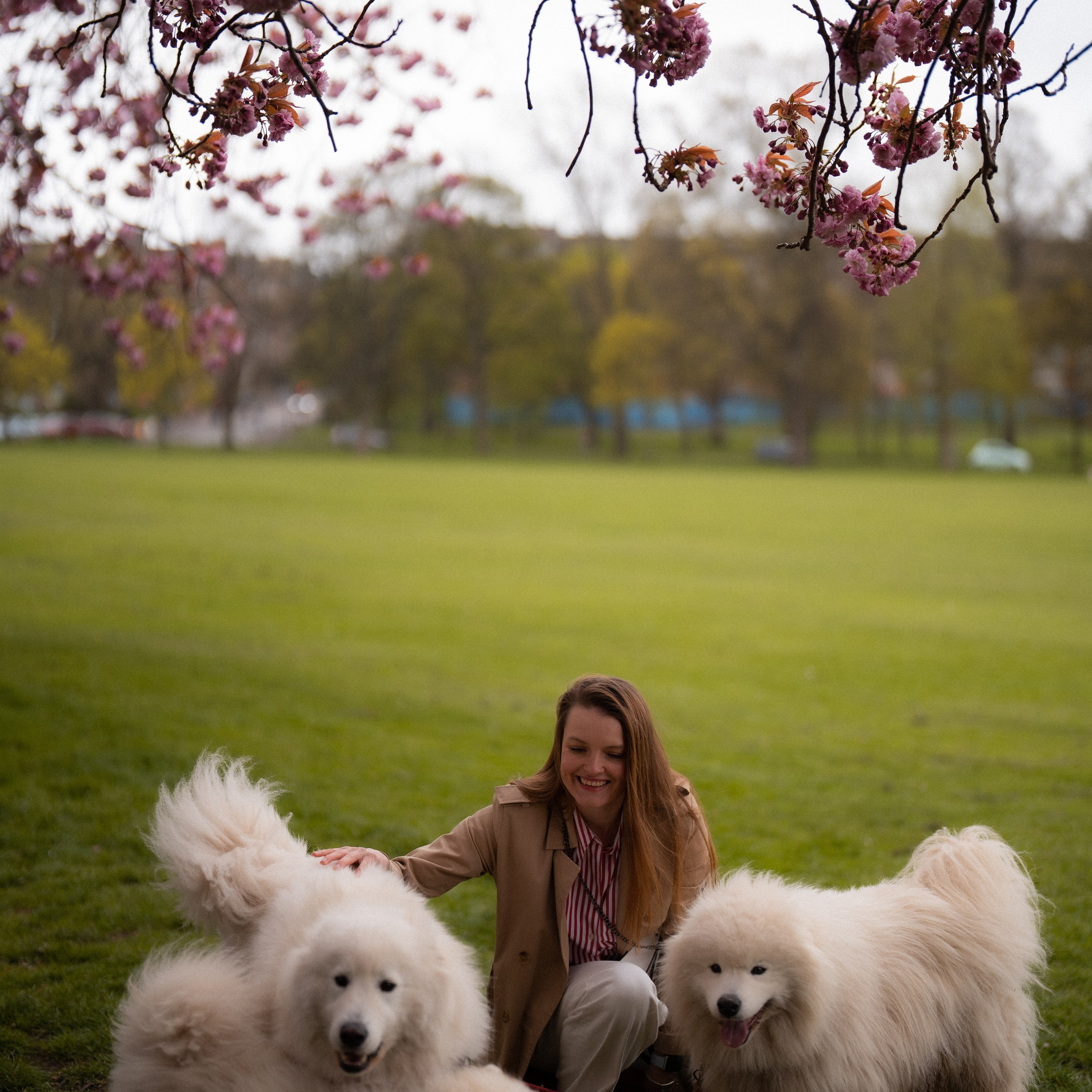 Katia. Photographer & Tour Guide Based in Scotland