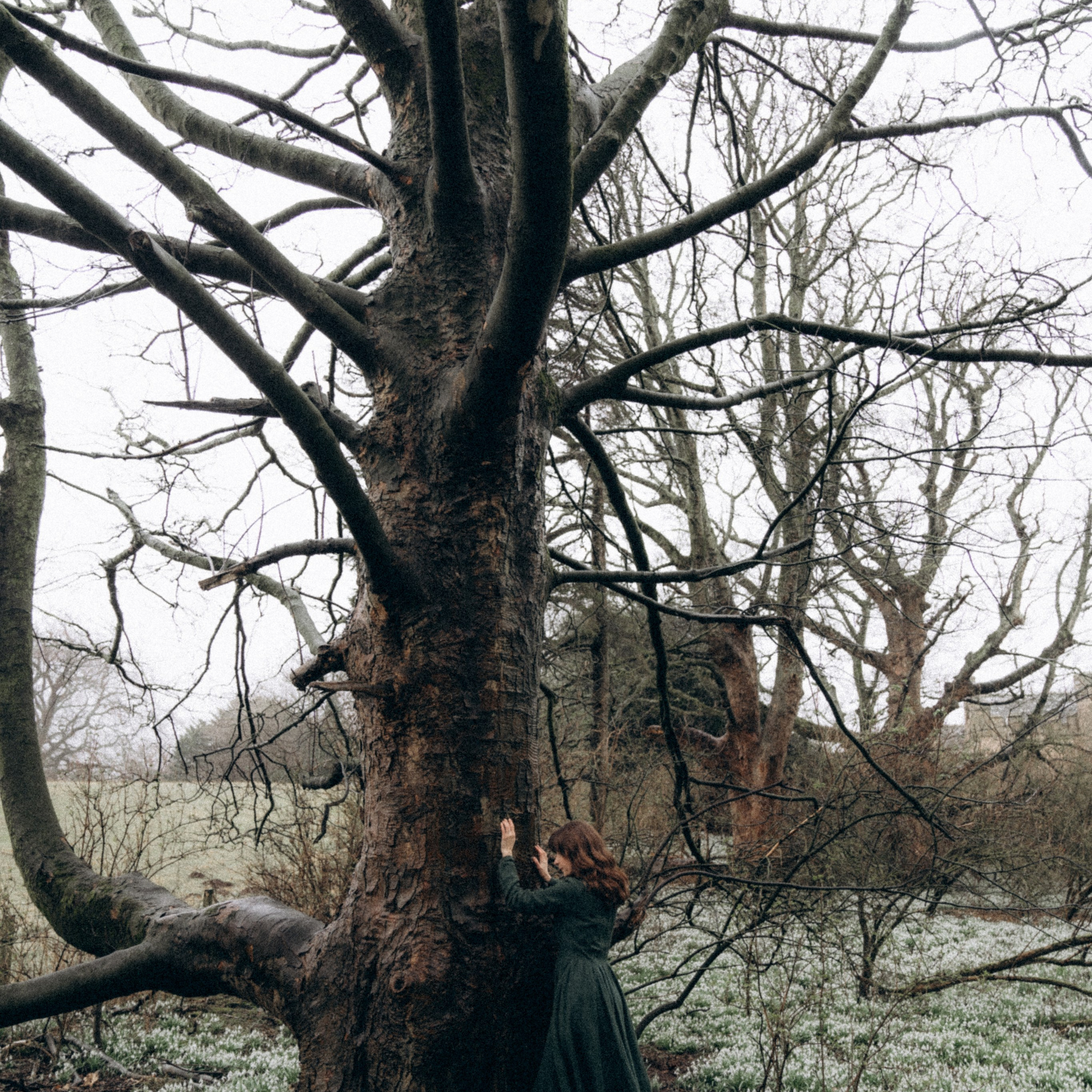 Katia Dar. Photographer & Tour Guide Based in Scotland