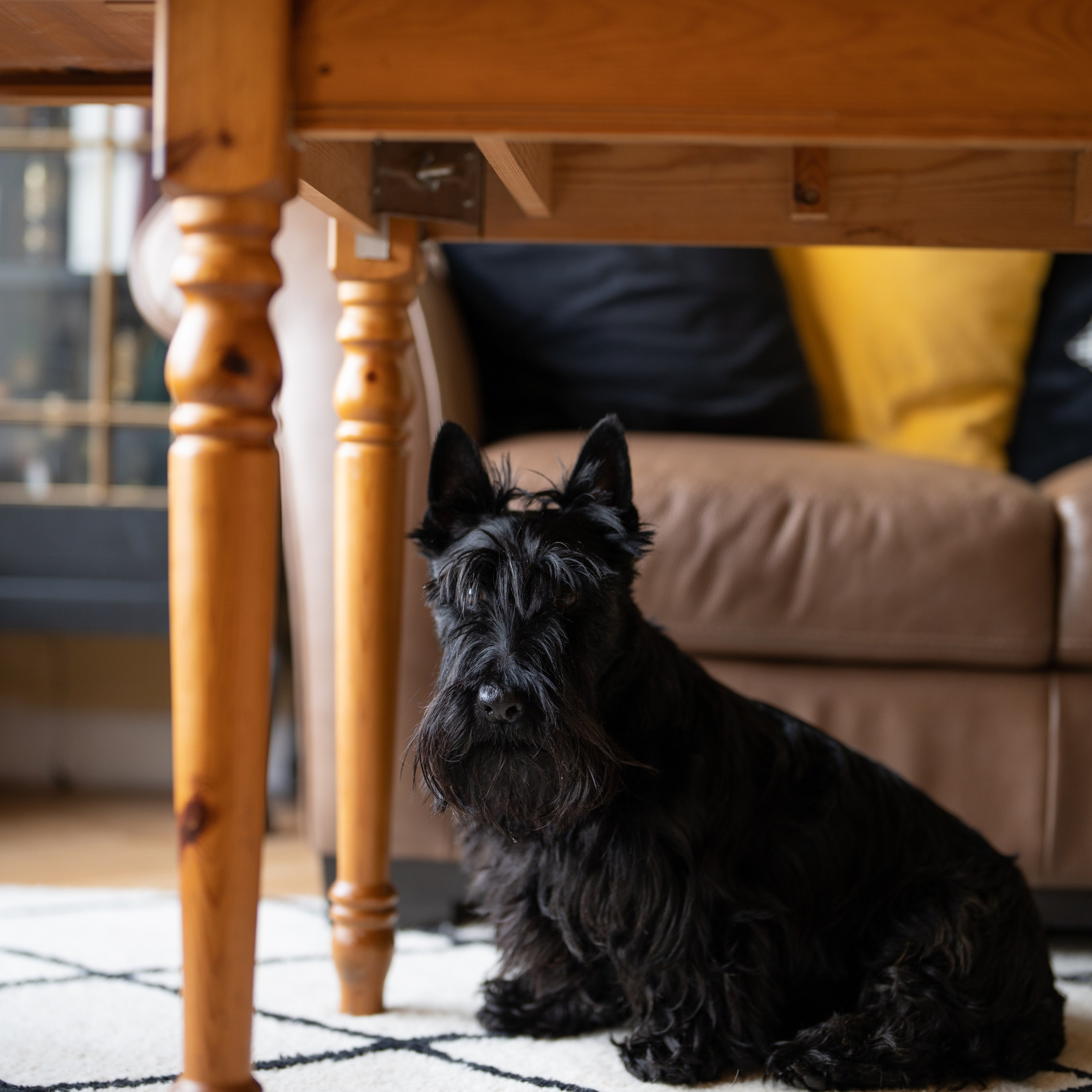 South Queensferry. Photographer & Tour Guide Based in Scotland