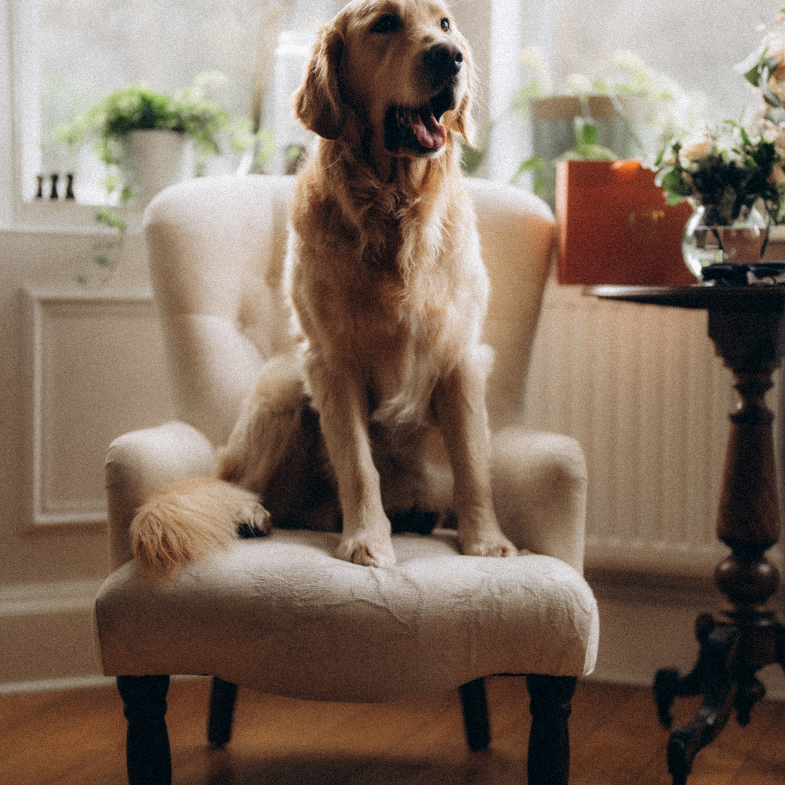 Gosia and James. Photographer & Tour Guide Based in Scotland