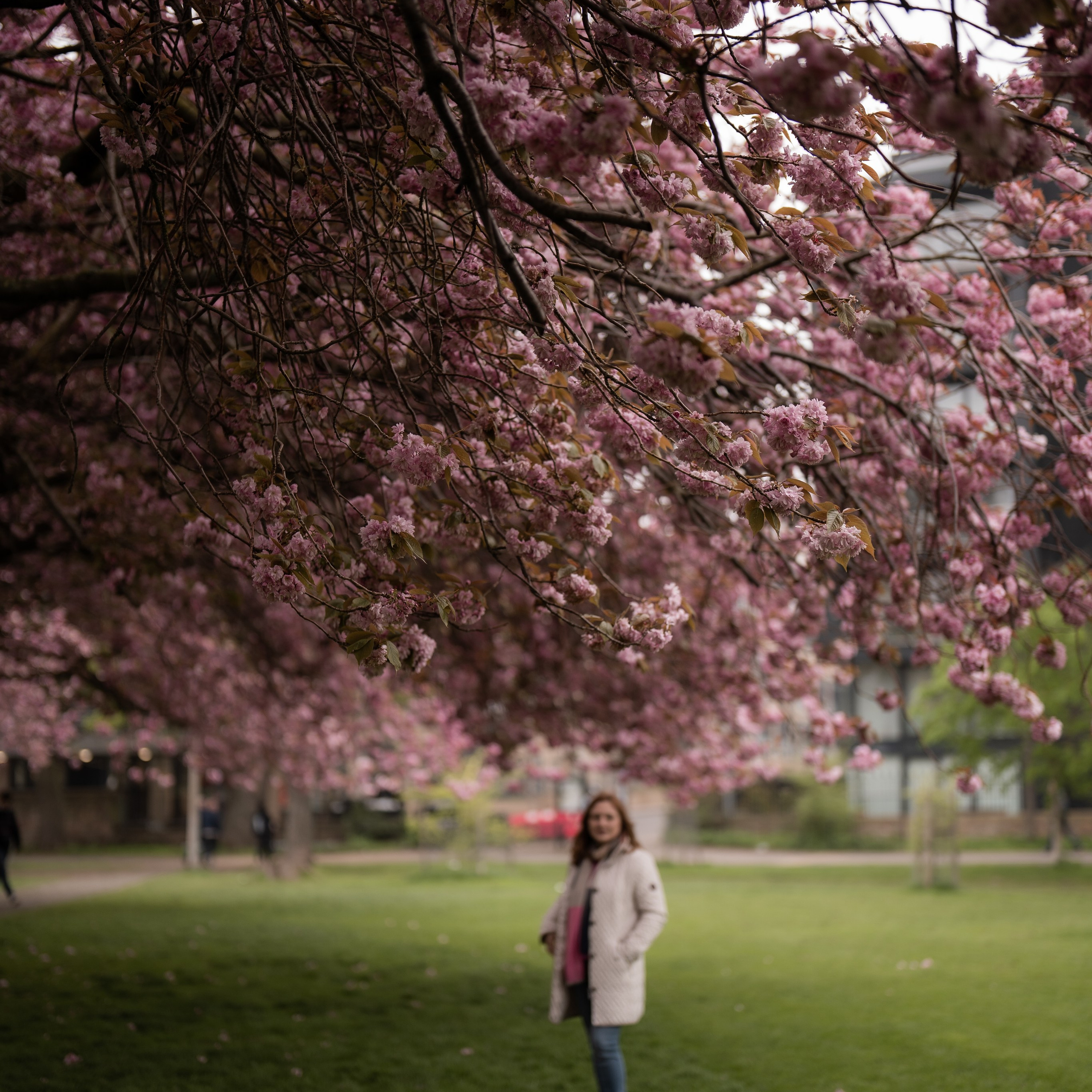 Svetlana. Photographer & Tour Guide Based in Scotland