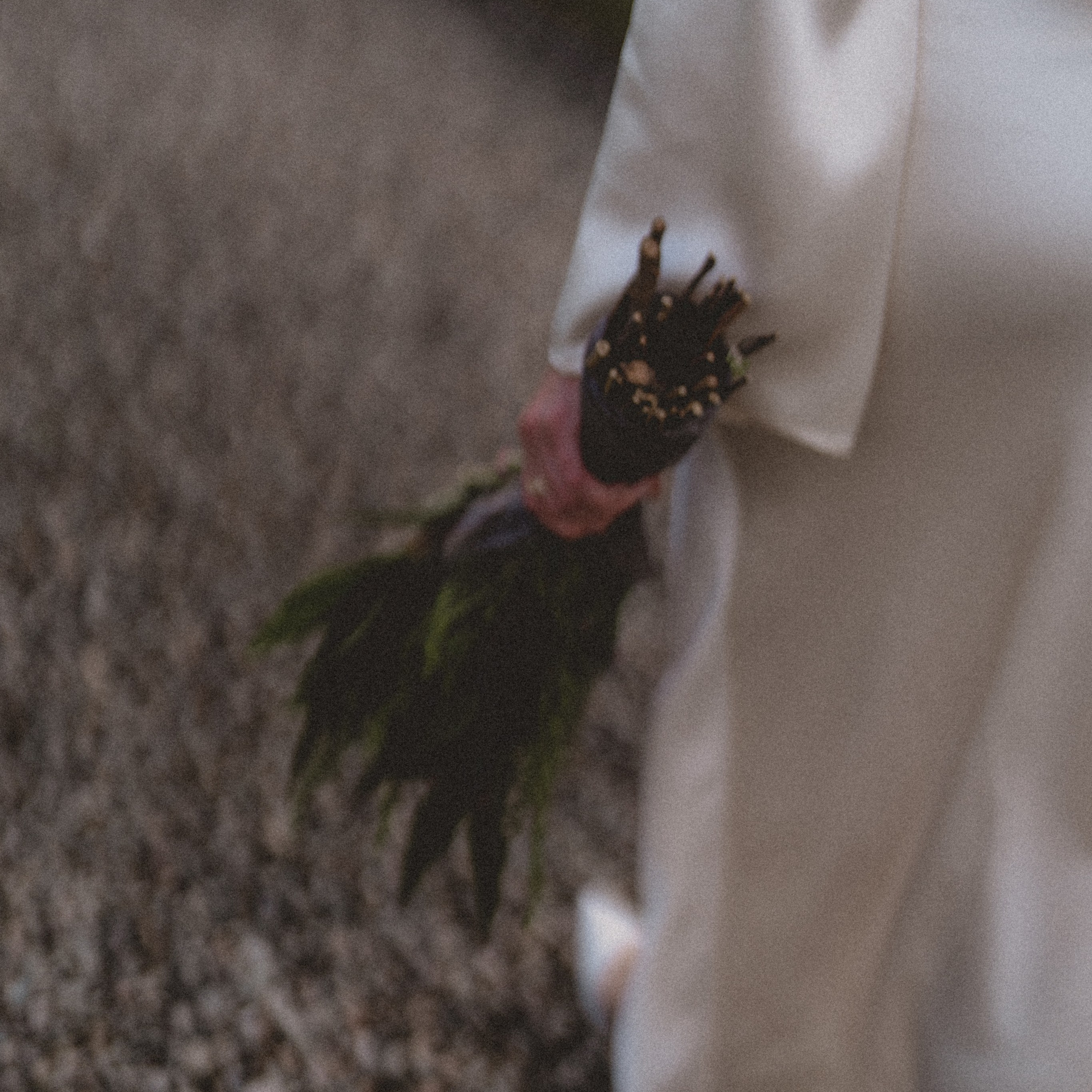 Vova and Olga anniversary. Photographer & Tour Guide Based in Scotland