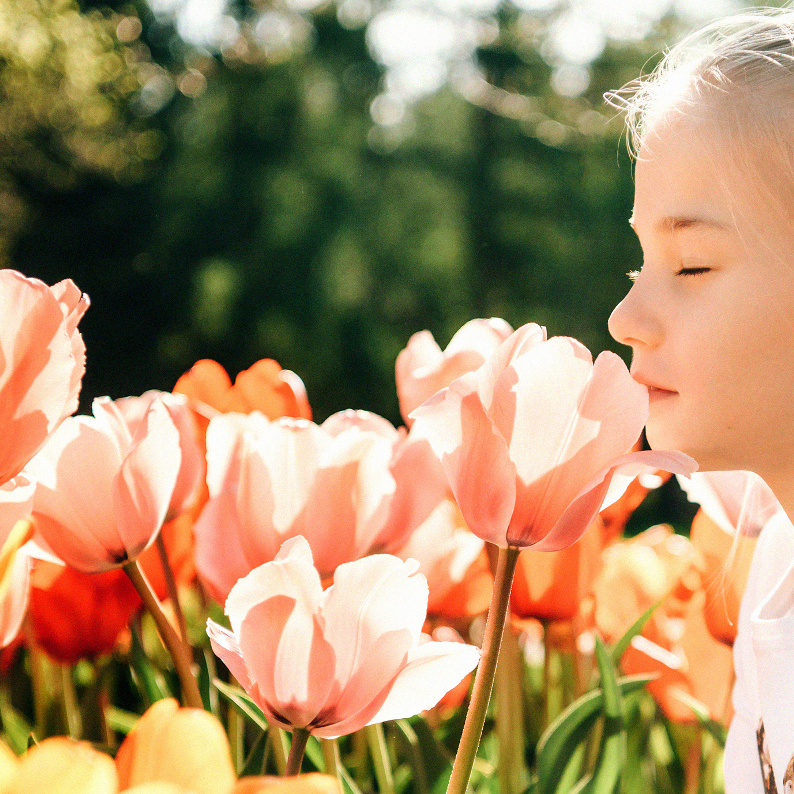 Блог. Rodinný a svatební fotograf v Praze