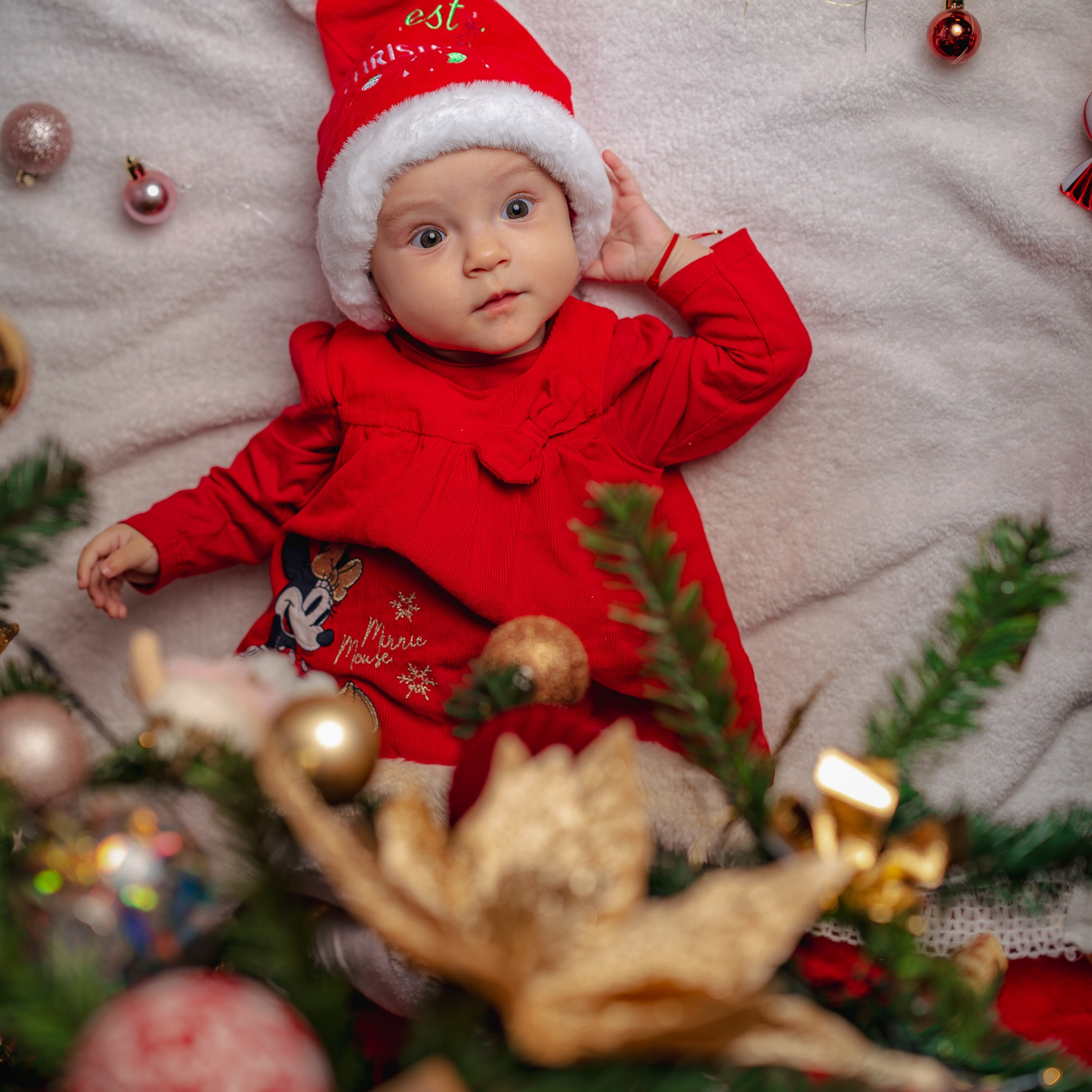 De Craciun 🎄🎅🏻🎁