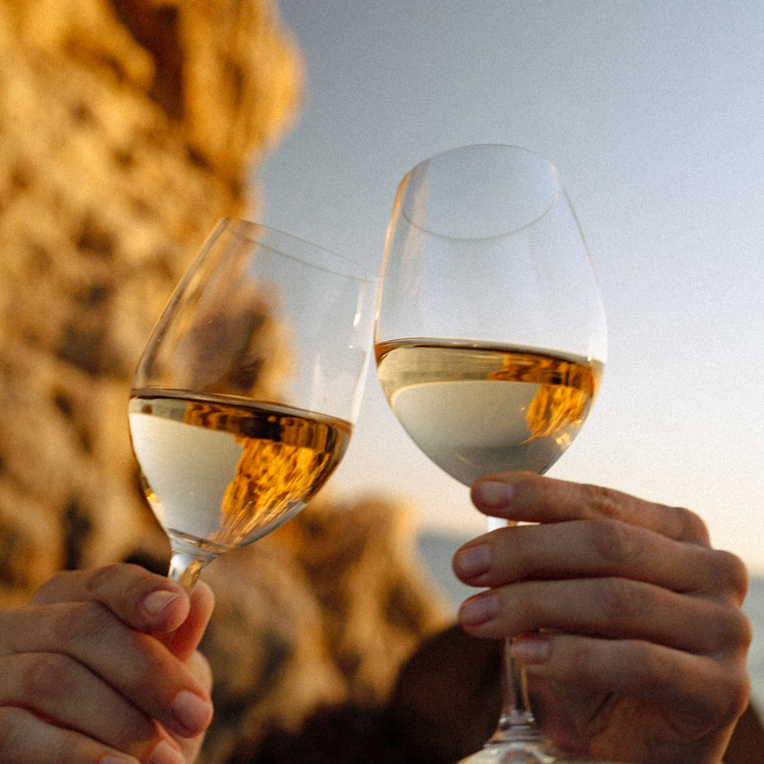 Brand Photography & Visual Content Creation — Marina Kálcheva, Barcelona. Marina Kálcheva — Photographer, Videographer & Visual Artist in Barcelona